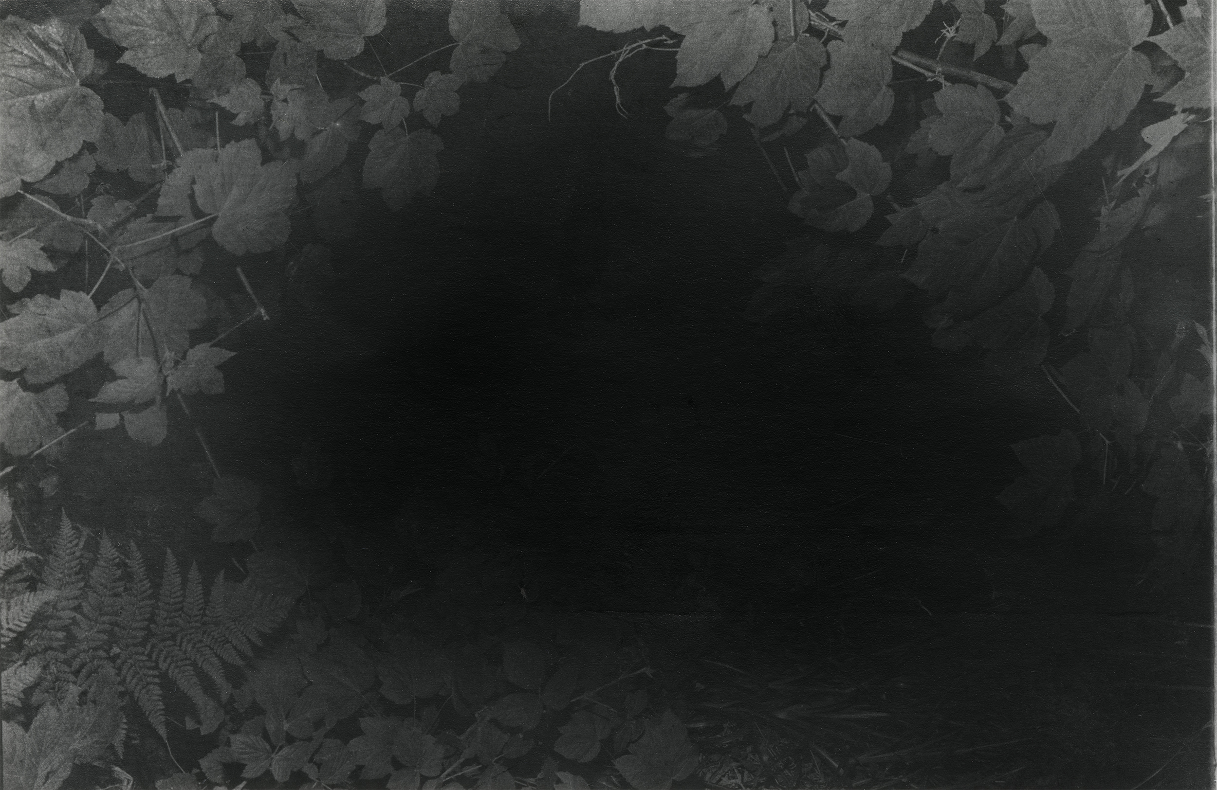 (void 2)