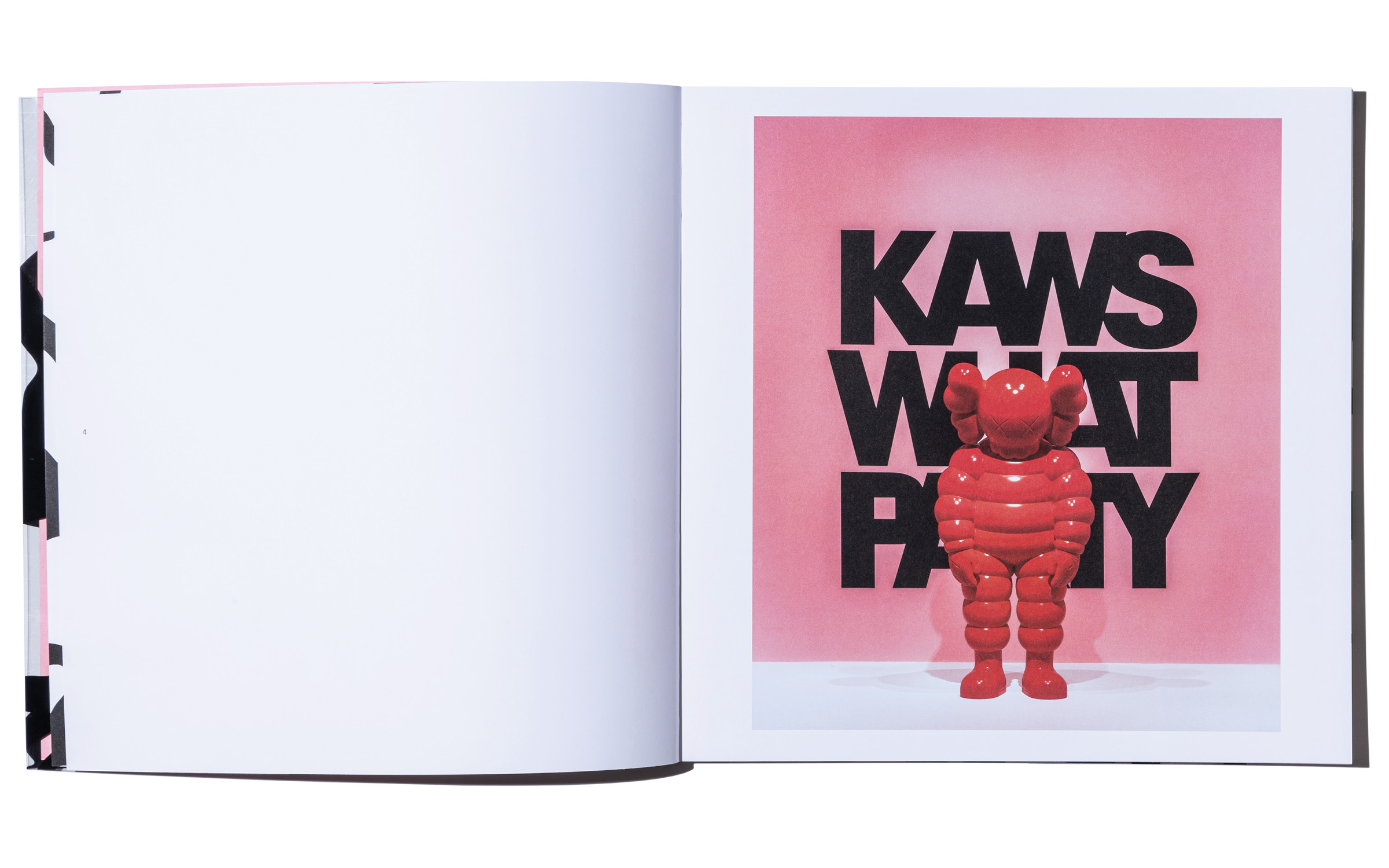 KAWS WHAT PARTY Book - Neil Spencer