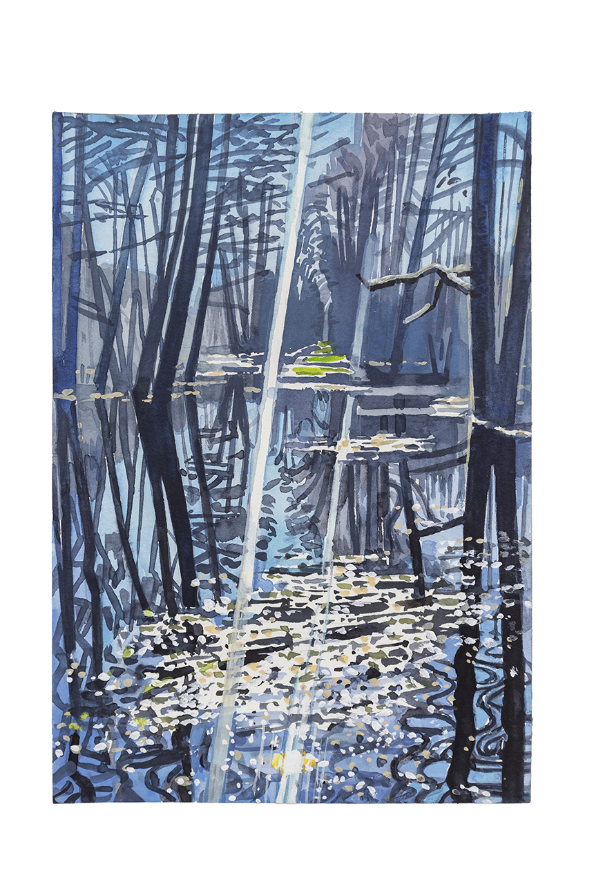 Mykolé Flooded Forest, 2025 Aquarelle sur papier 26 x 18 cm Courtesy de l'artiste et de la Galerie Anne de Villepoix
