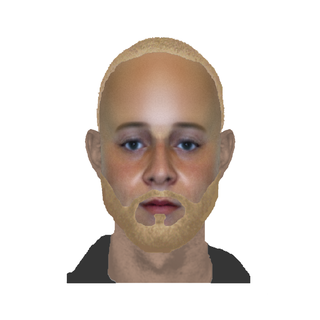 Fantomer, 2010-2012  Digital identikit images  Albin