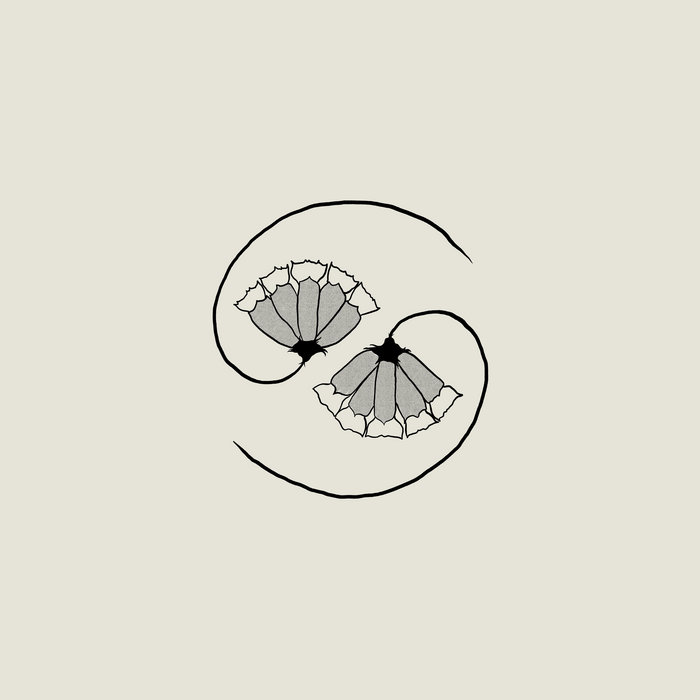 Godspeed You! Black Emperor -  G_d’s Pee AT STATE’S END!