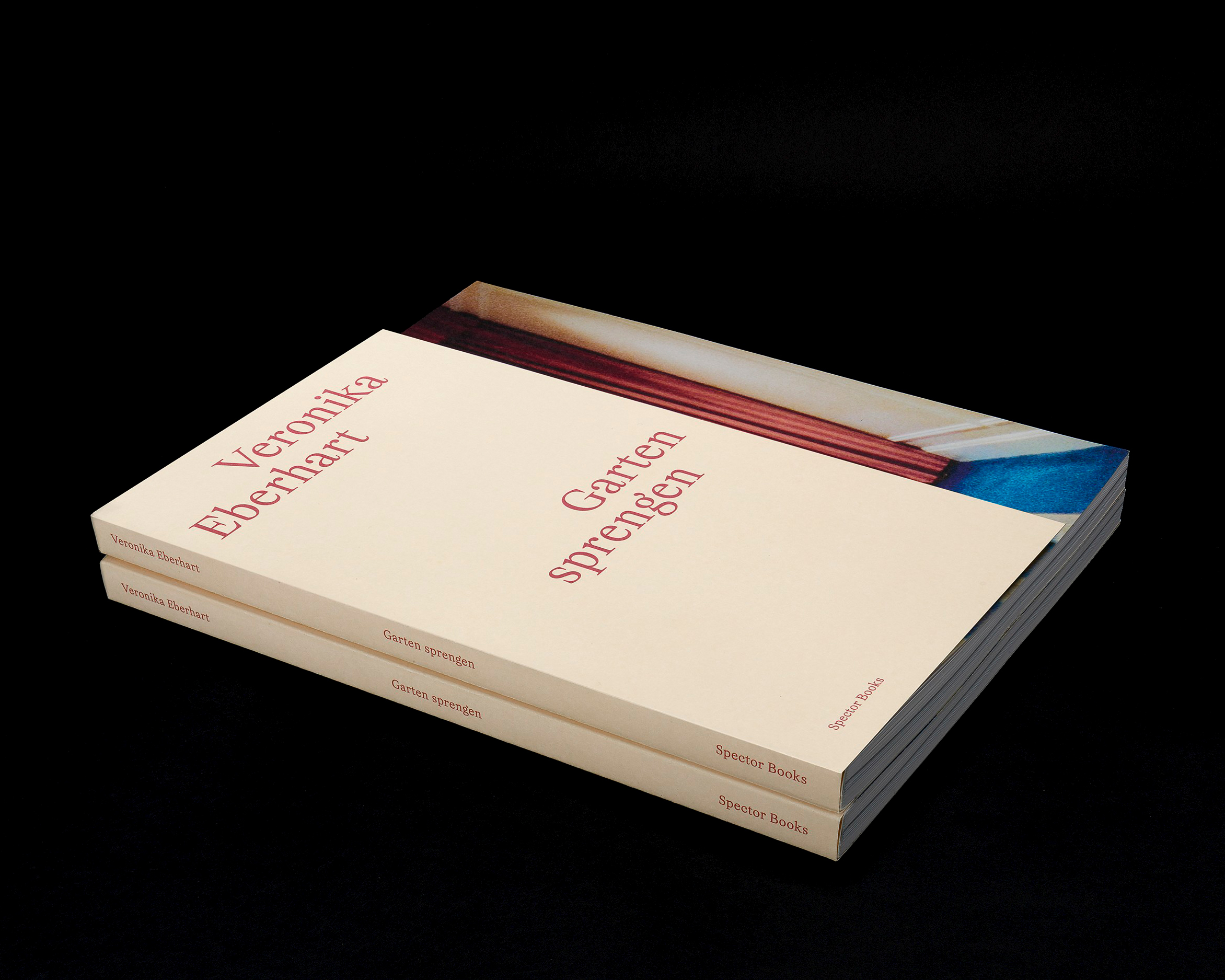 Litho&emsp;Client: Veronika Eberhart // Graphic Design: Marie Artaker  // Publisher: Spector Books // [photo: Pascal Petignat]