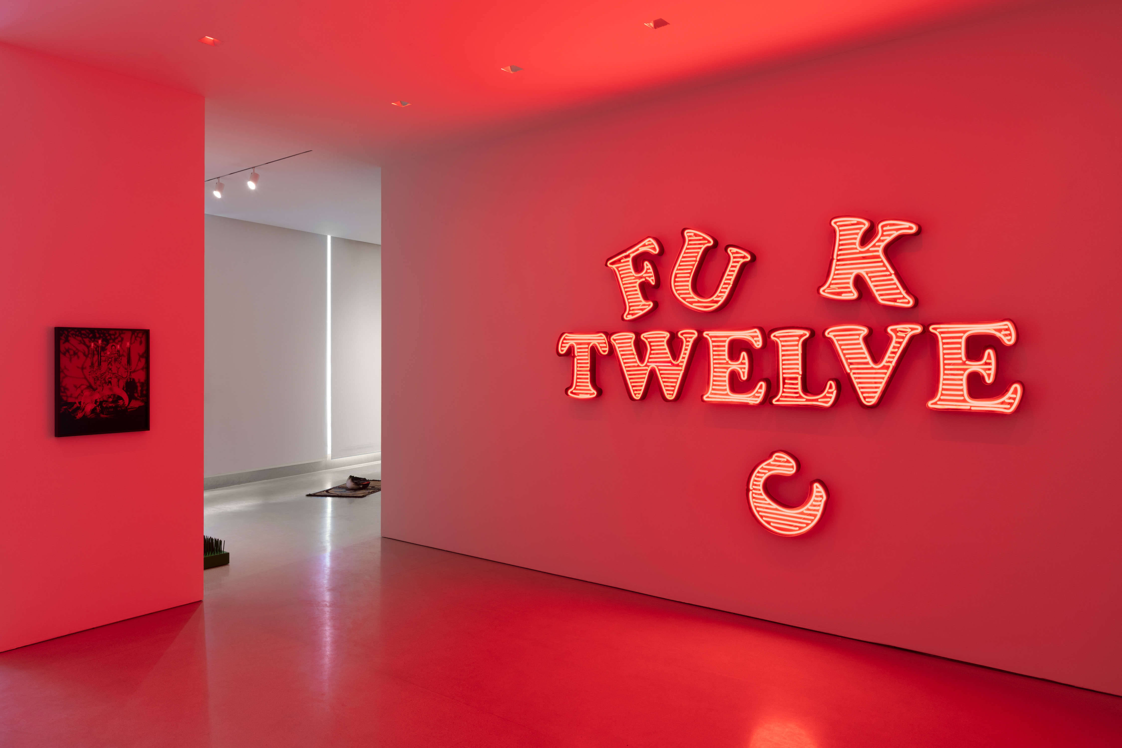 Awol Erizku: Mystic Parallax / The FLAG Art Foundation