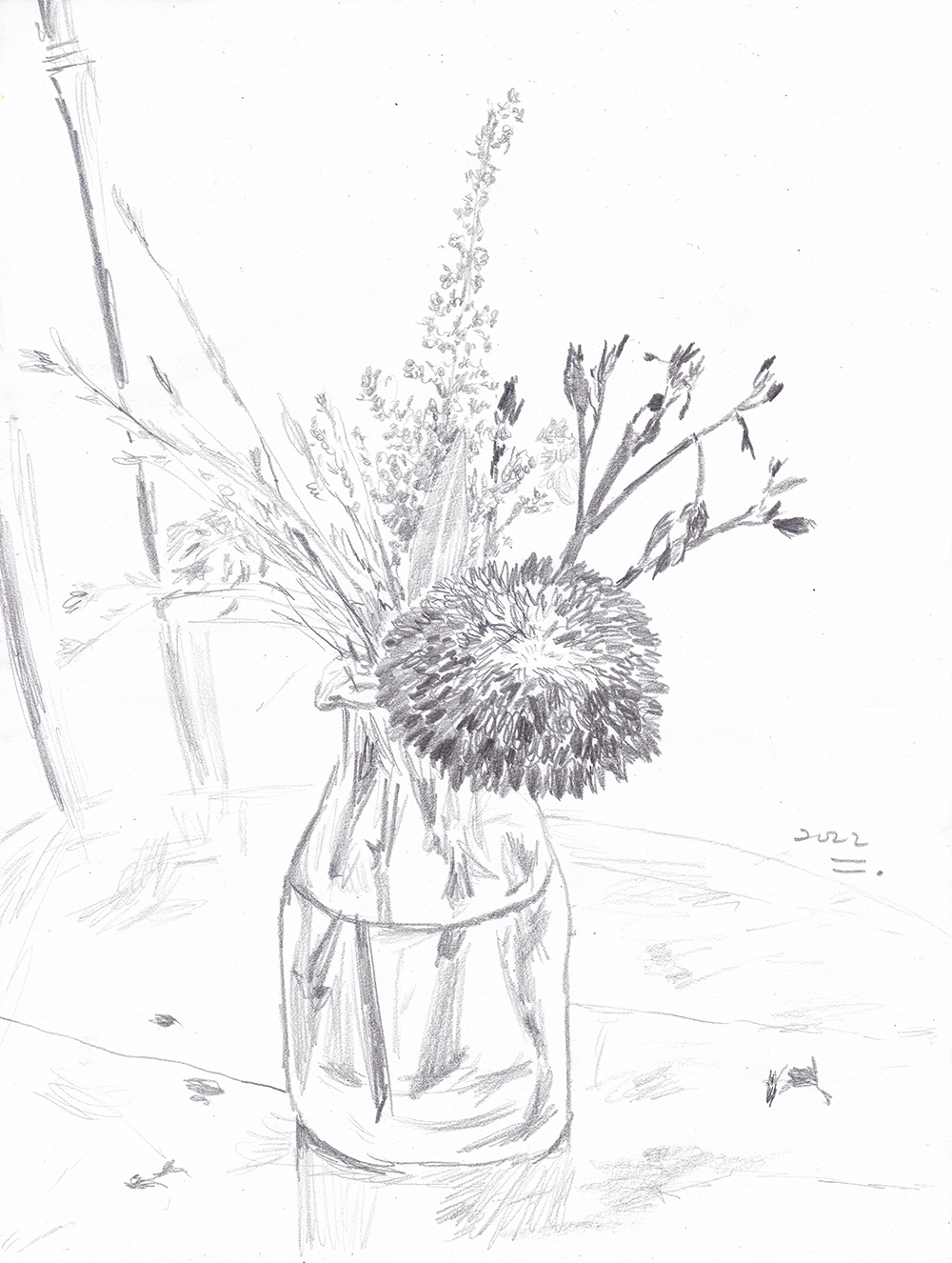 칼날처럼 뻗은 꽃, 2022, pencil on paper, 27.9*21(cm)