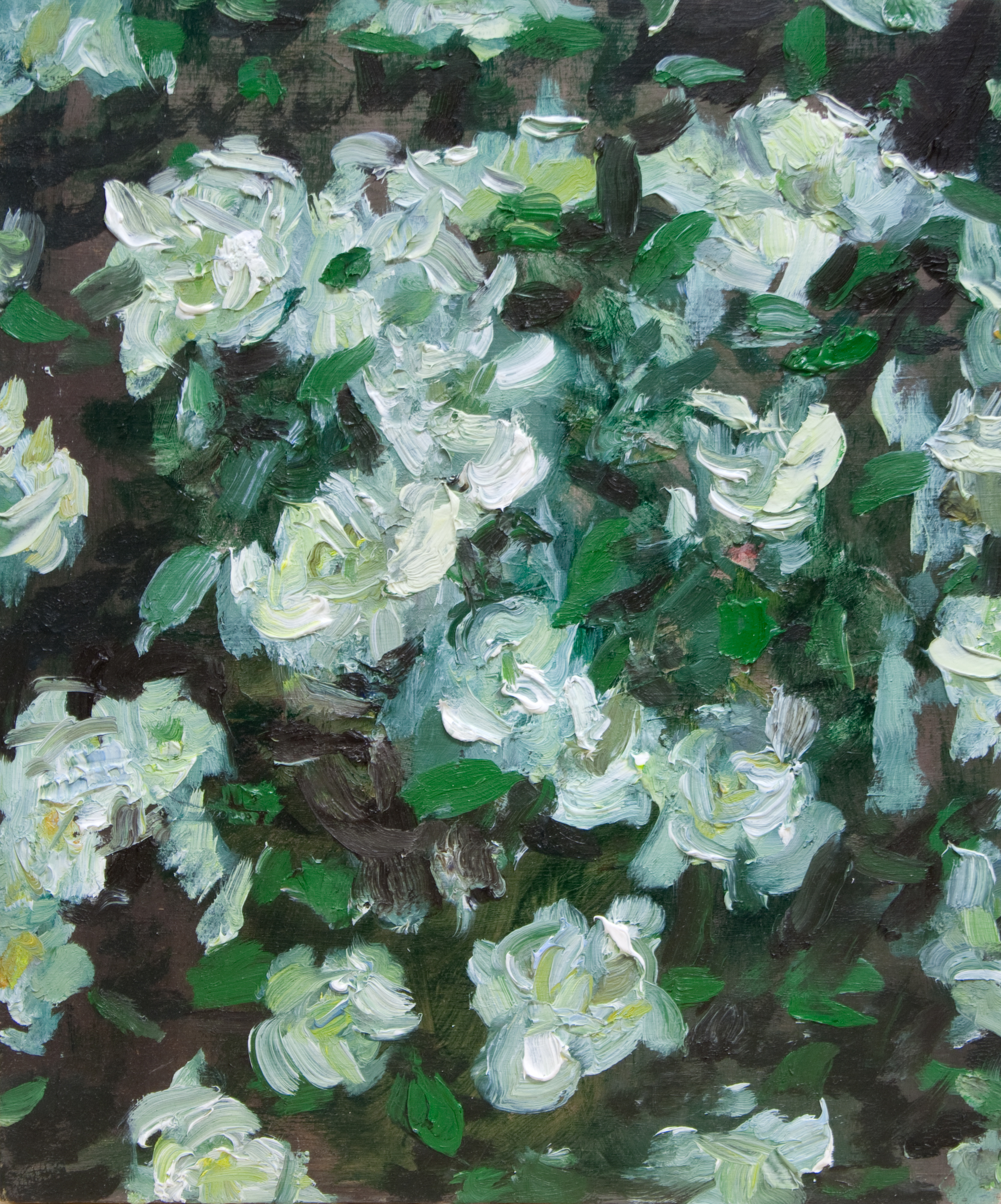 "Alppiruusu", oil, 24x20cm, 2019