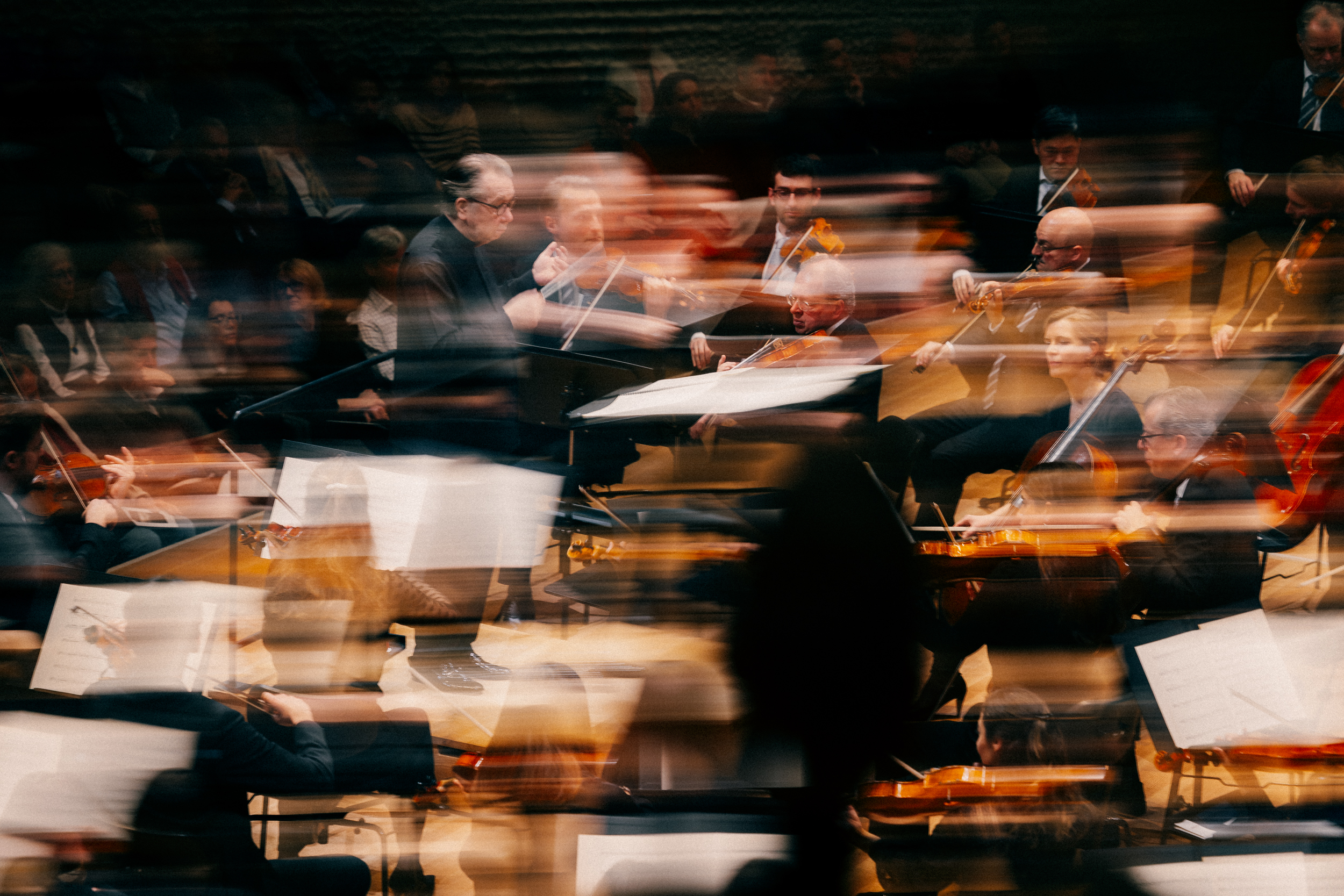 Philharmonic concert / Hamburgisches Staatsorchester