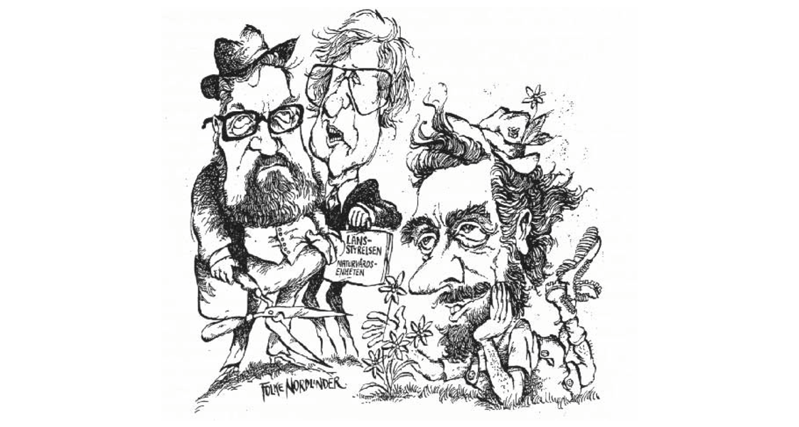 “The County Administrative Board did not take kindly to Ido Poloni's planting of edelweiss. But nothing had been mentioned about planting new plants in the reserve regulations, so the authorities had to bite the bullet and let the alpine plant remain, to Falu-Kuriren's delight. However, the regulations that apply today prohibit all planting of plants and animals (if someone would think of introducing wall crawlers, chamois or marmots). This additionally applies to most of the county's nature reserves. From Falu-Kuriren 16/12 1978.”