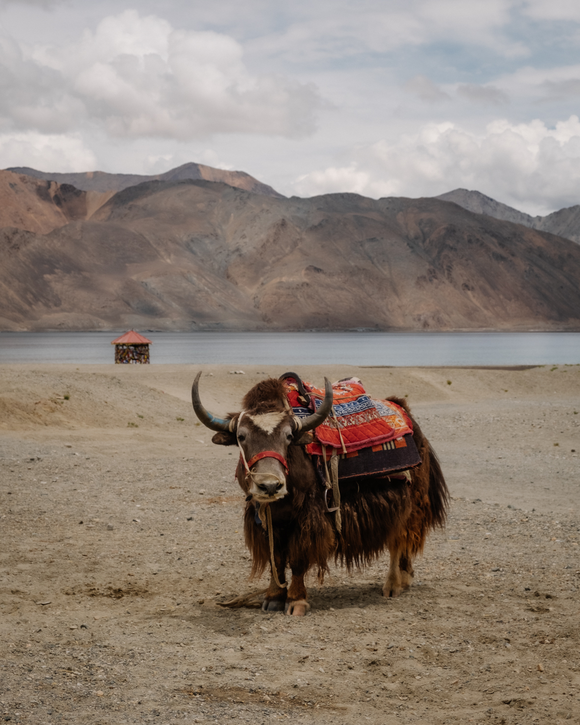 Ladakh - India