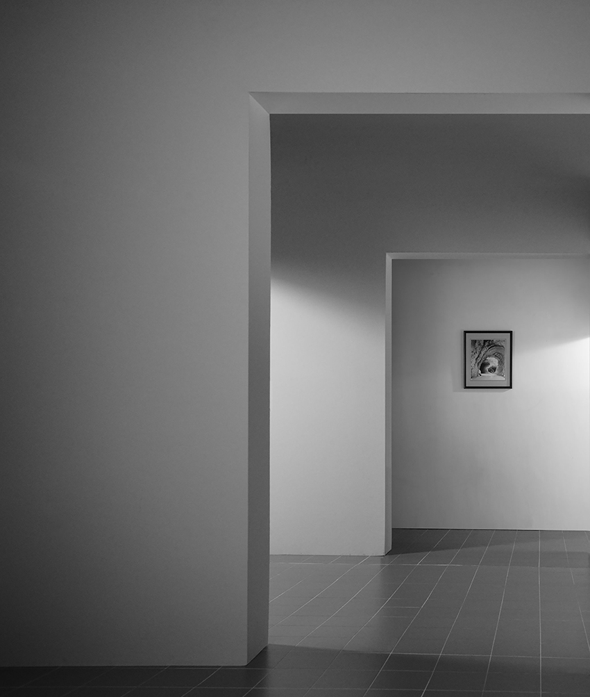 2016 臨郎靜山洞中猛虎臥 Imitating Long Chinsan’s Tiger in Cave