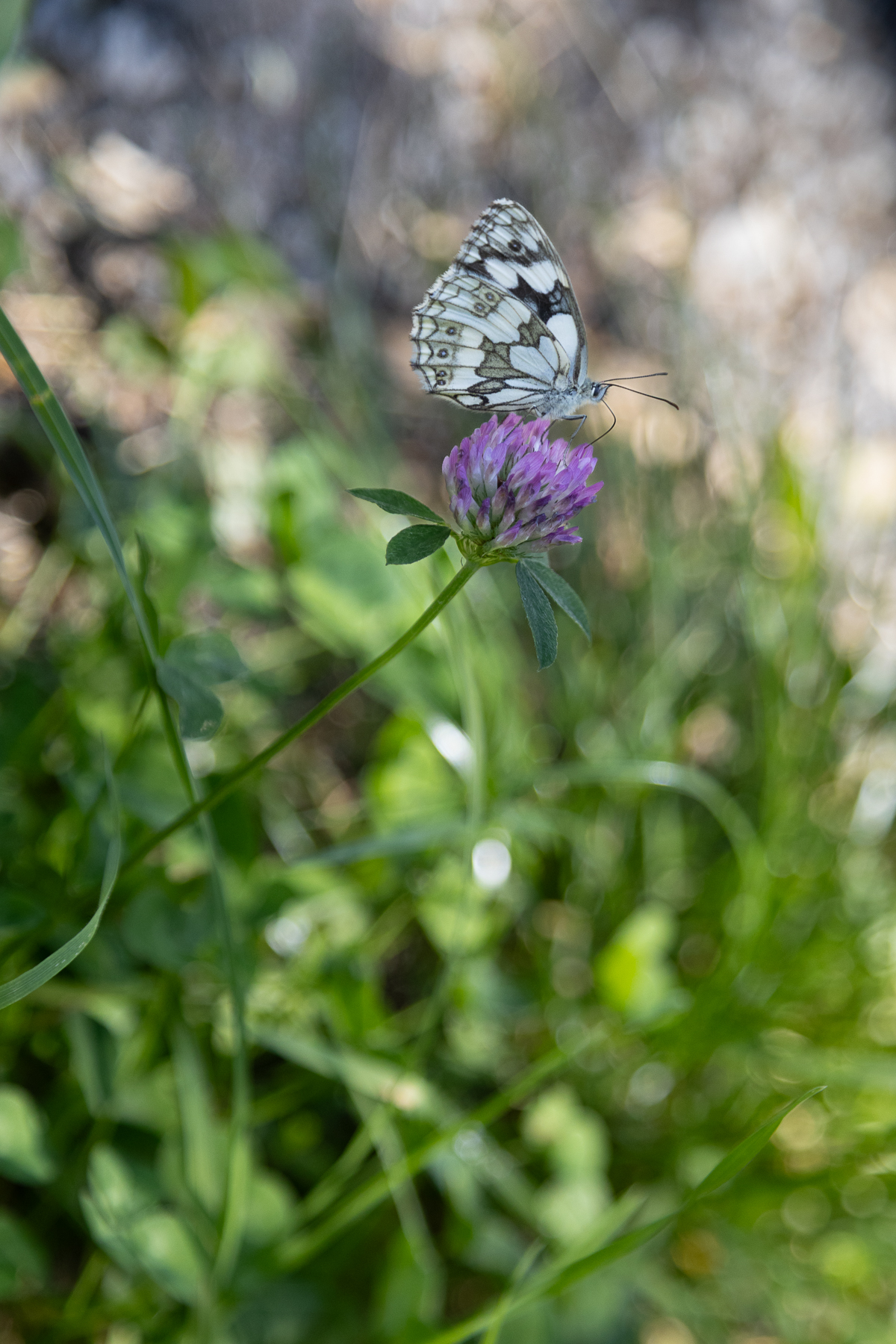 Wallis, Switzerland, 2023