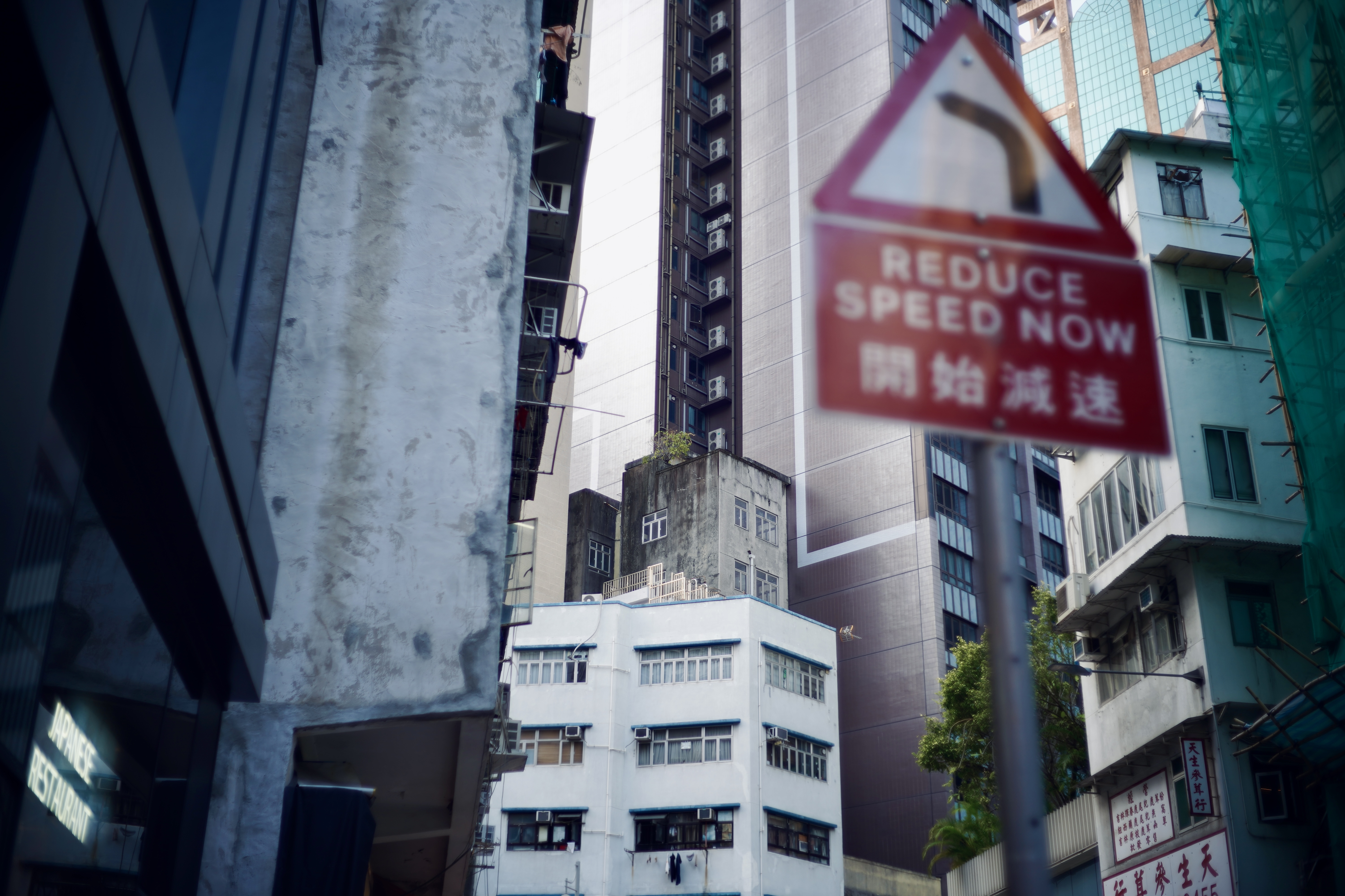 Hong Kong/January 24'