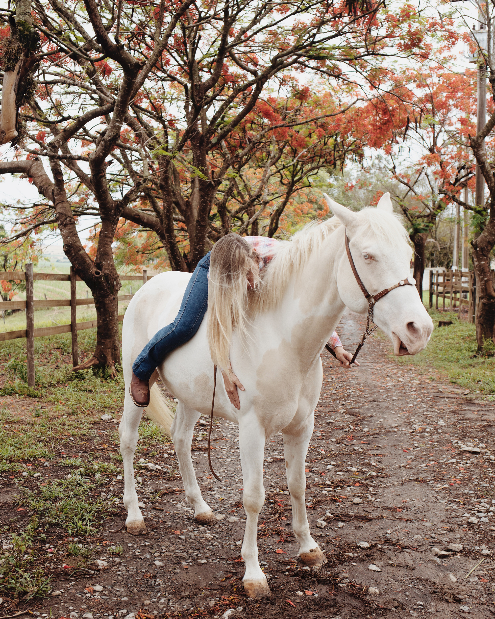  In The American South   Cerquilho, Sao Paulo 2019 Index