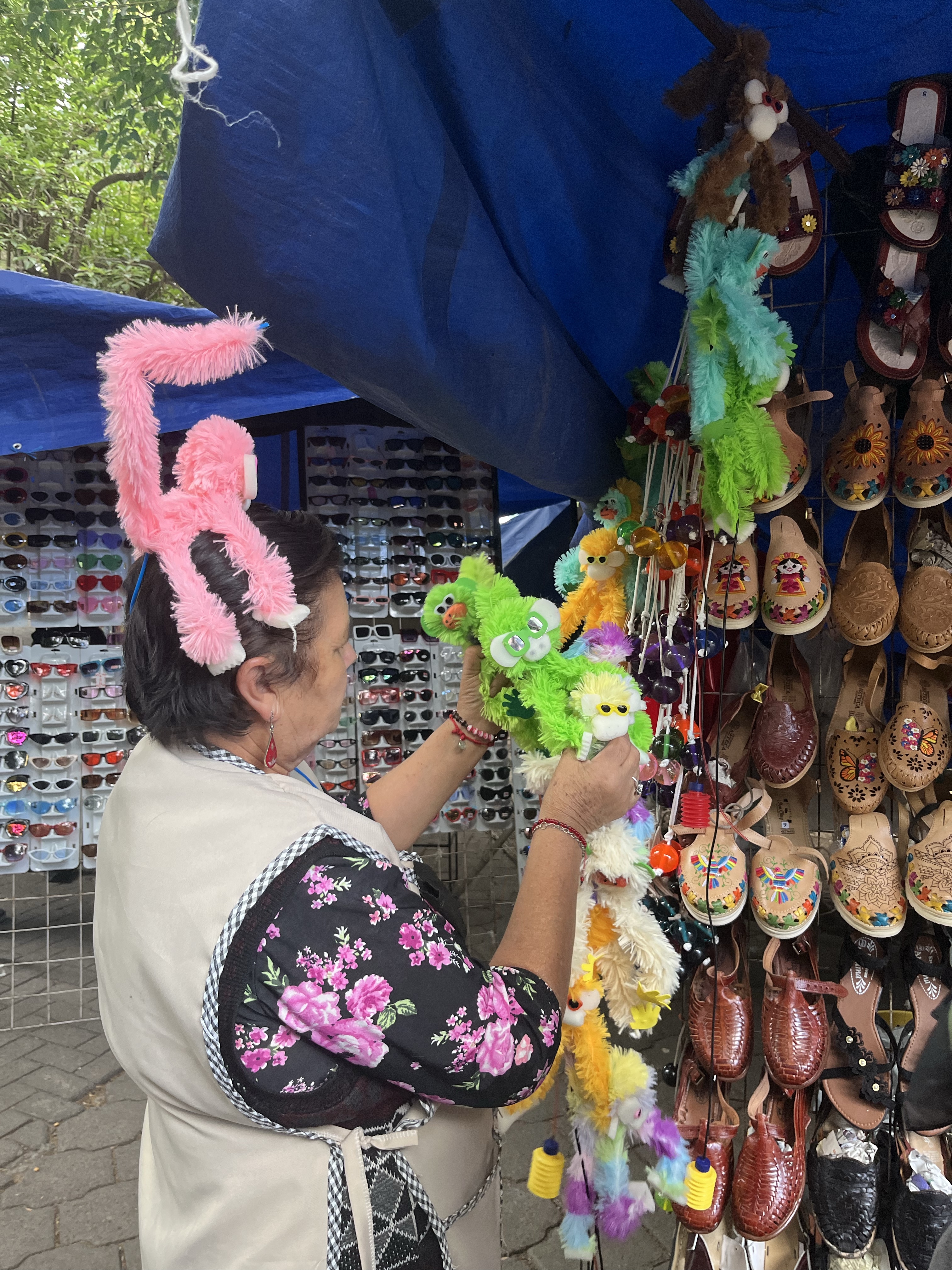 Changos miones Bosque de Chapultepec 