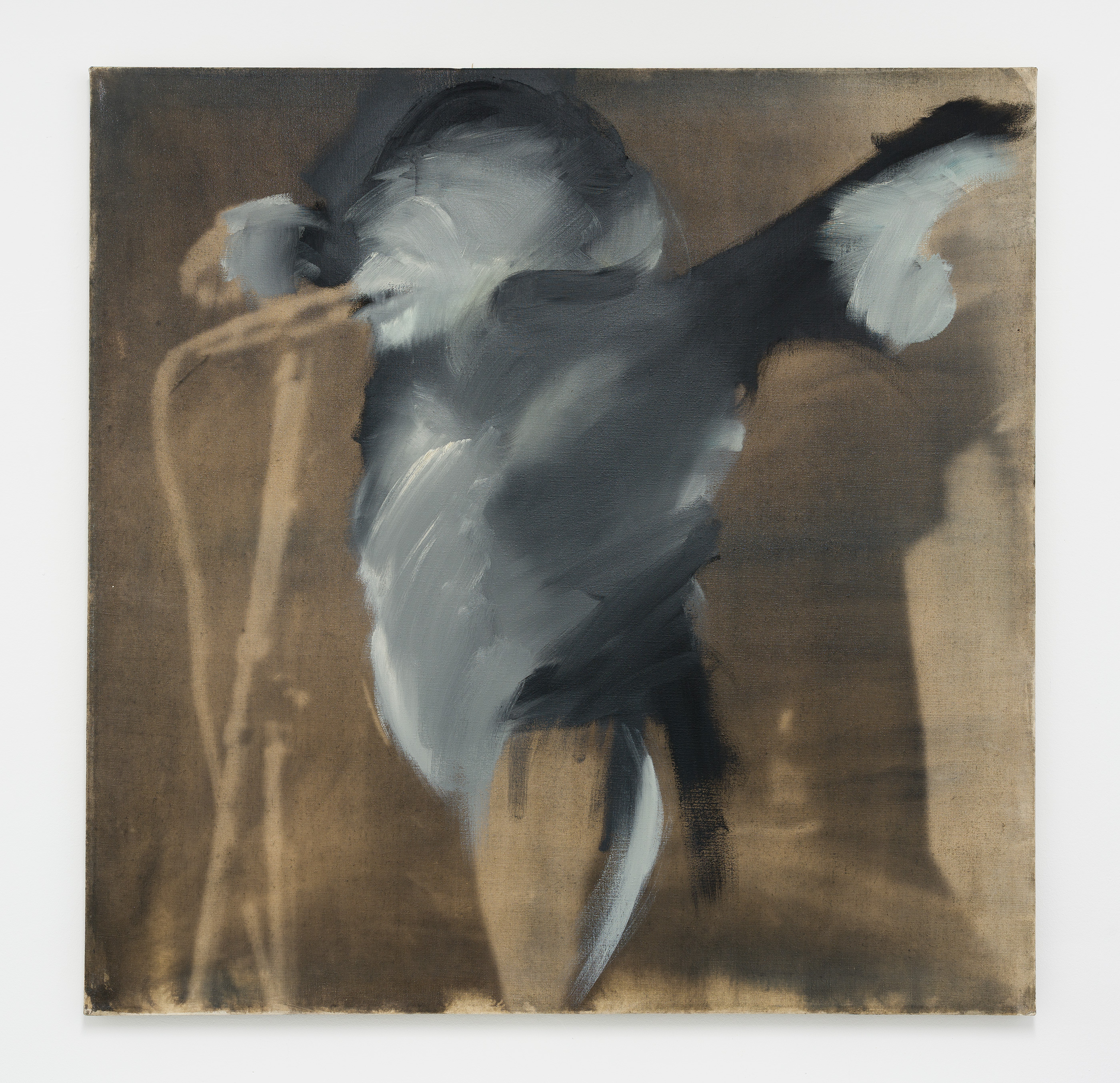 Untitled (P002), 1988, photo emulsion and oil on canvas, 37 3/8 x 37 3/8 in. (95 x 95 cm.)