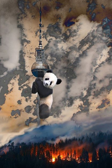 Наталья Коньшина