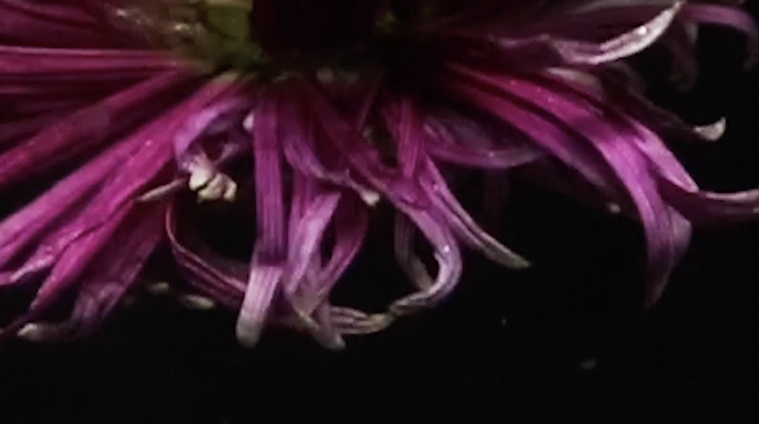 &nbsp;&nbsp; March Madness   &nbsp;&nbsp; visual poem 