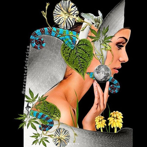 Federica Errante Calcomanías