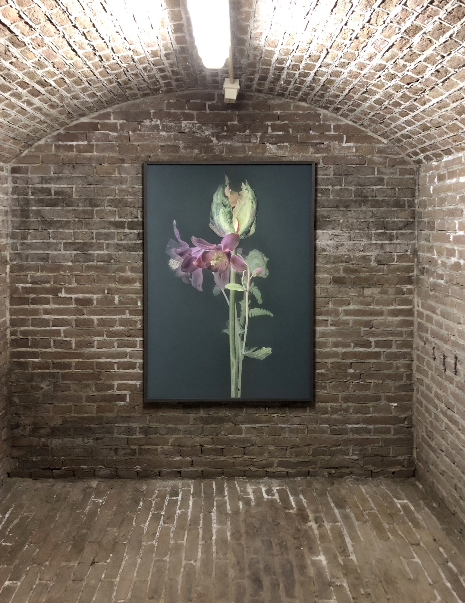 Fotofestival Naarden 2019