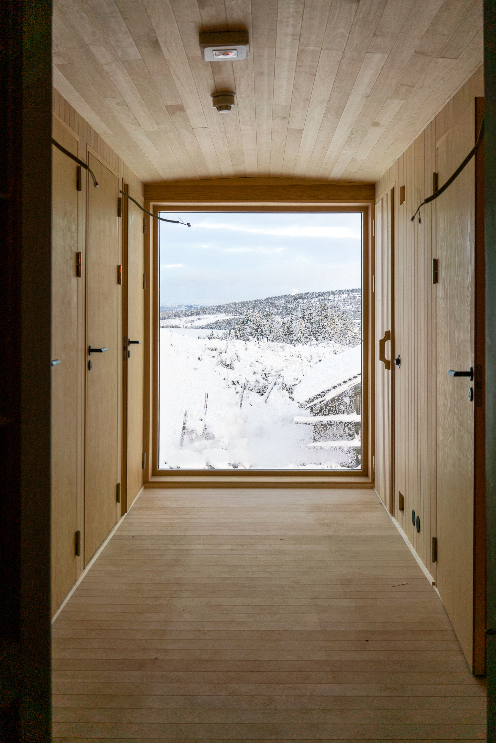 view from new extention