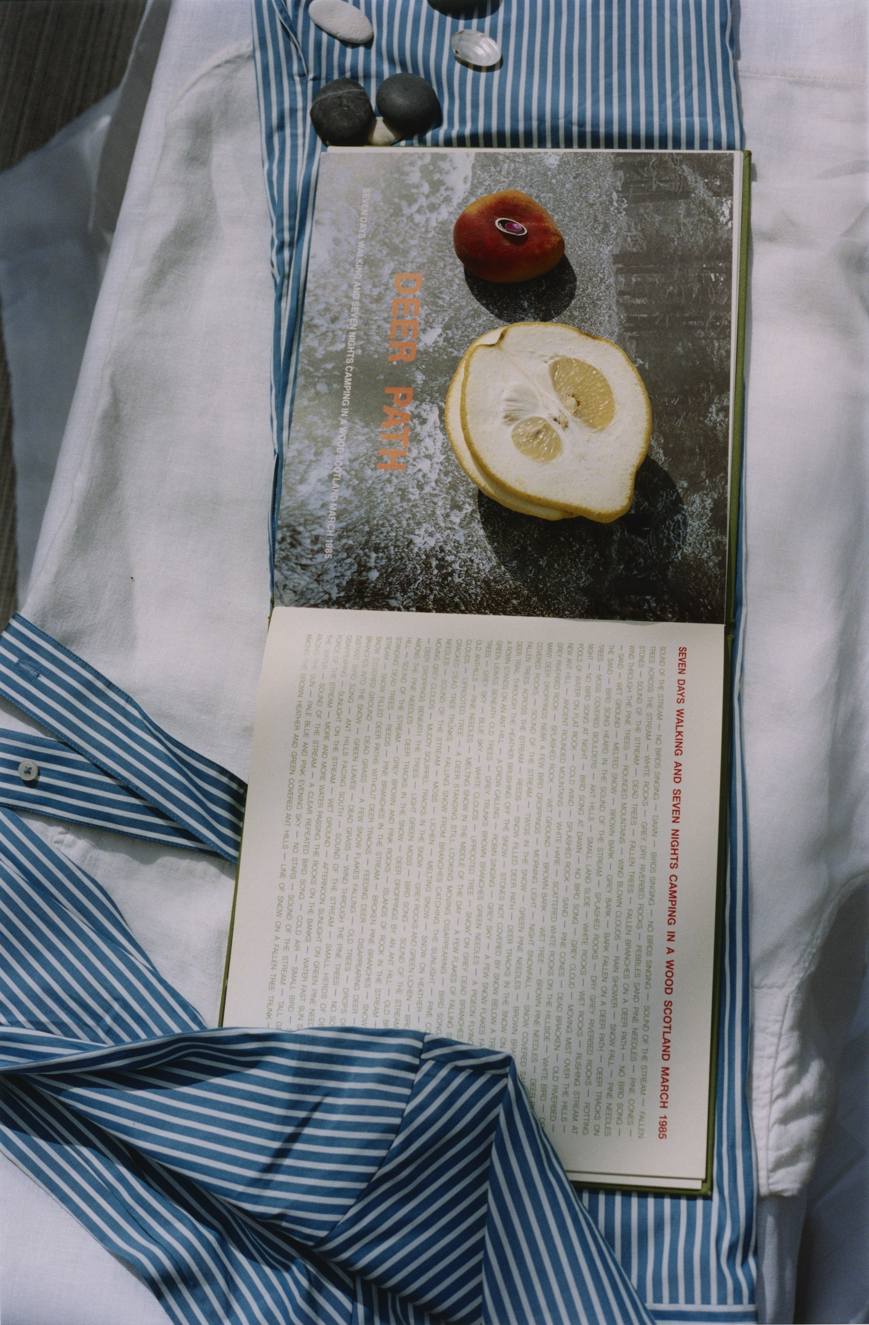 Deer Path, 2021. (6/75)