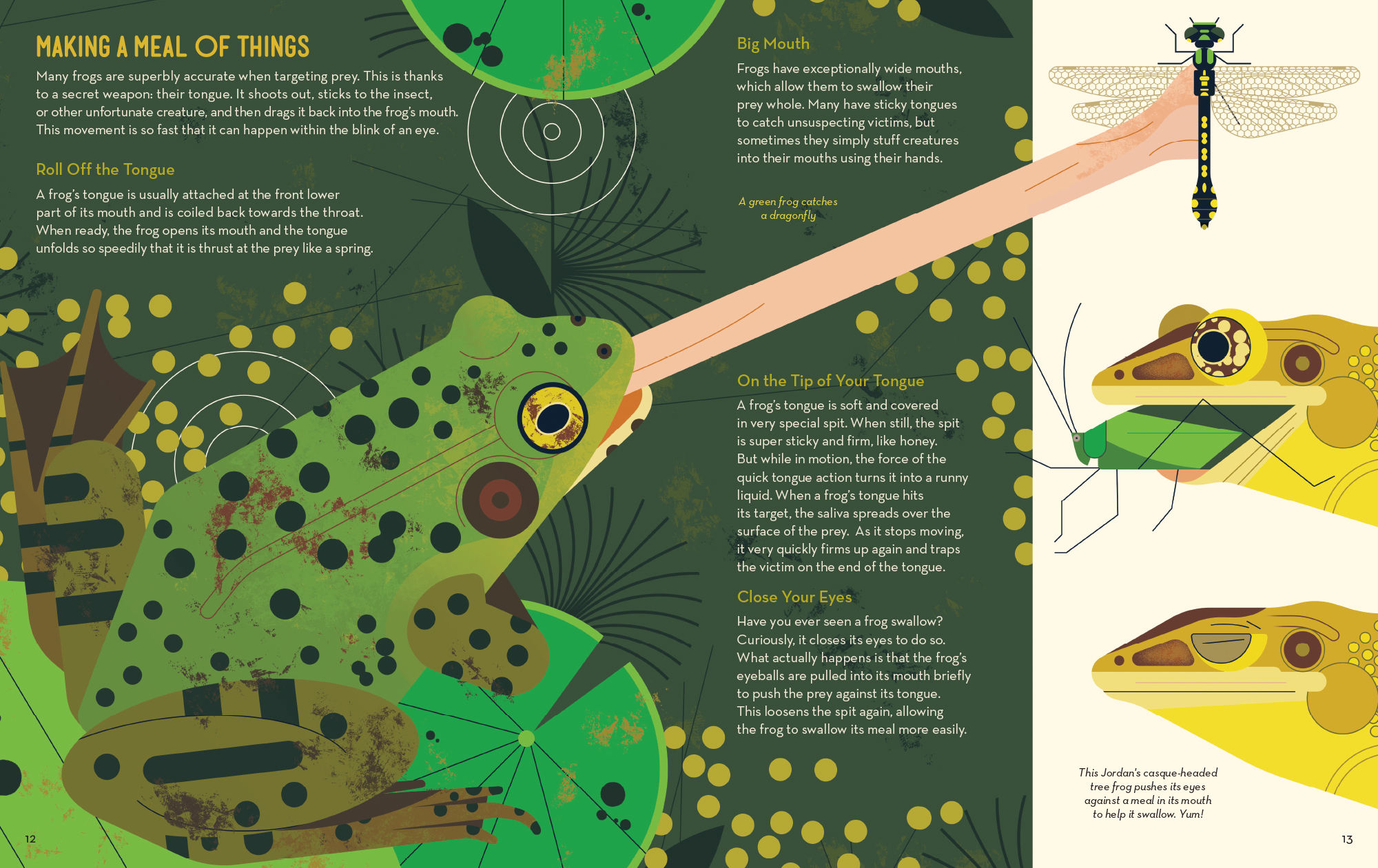 Fanatical About Frogs - Owen Davey Illustration