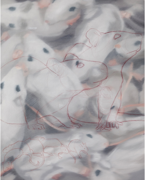 Top 8 Smartest Animals series: Rats, oil and colored pencil on paper, 14 x 18, 2010