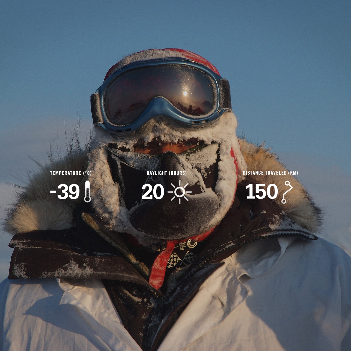 This Land website, 2009