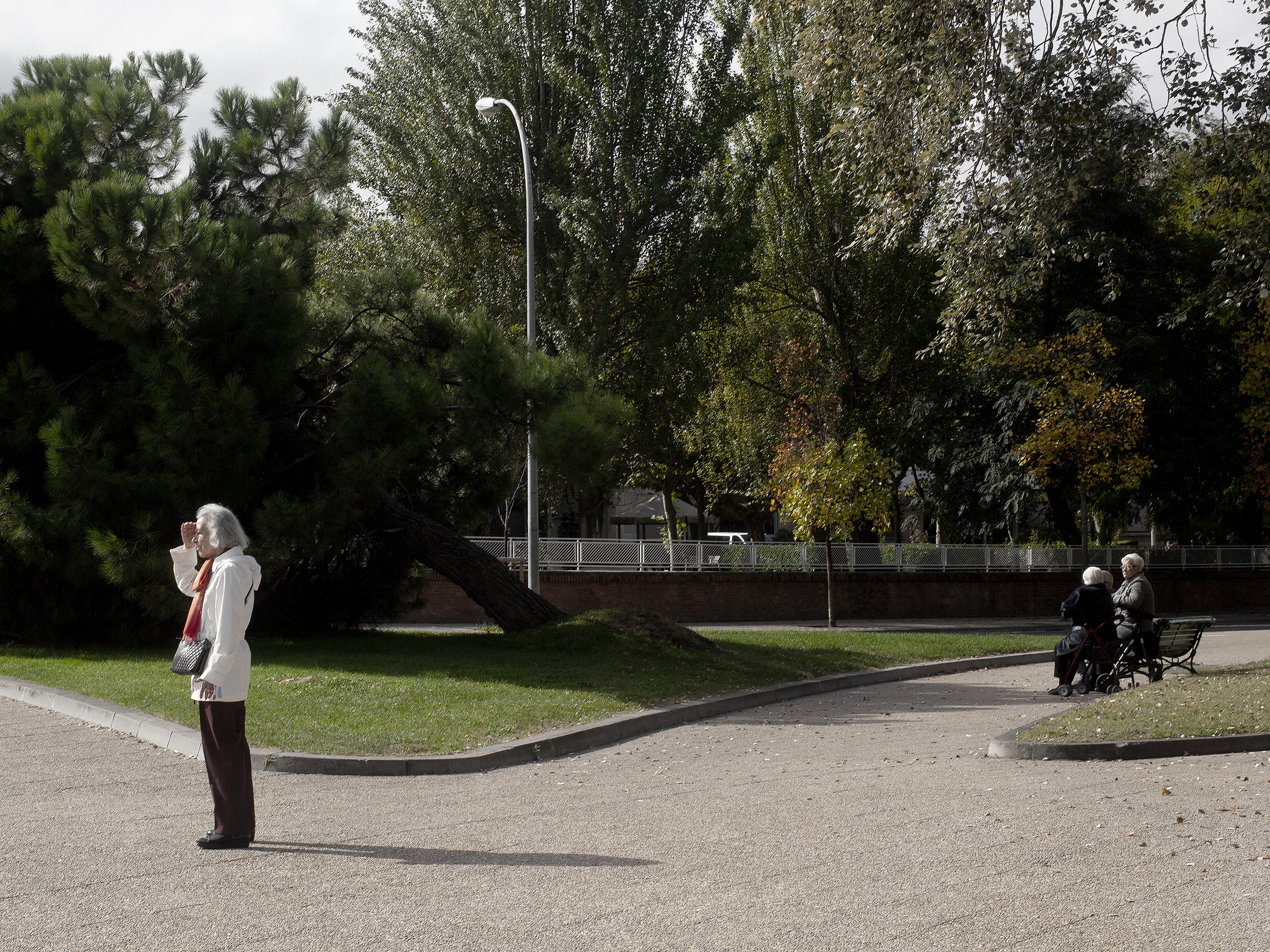 Old woman looking into the distance in front of a fallen treePamplona, Spain, 2022photography, color, single