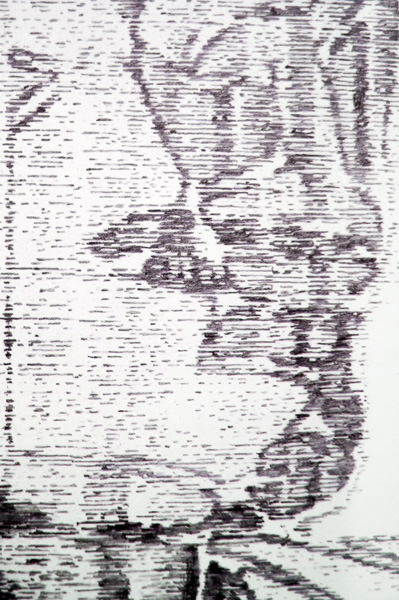 (Detail) Unstable Hero 2011 Graphite on paper 100x125cm