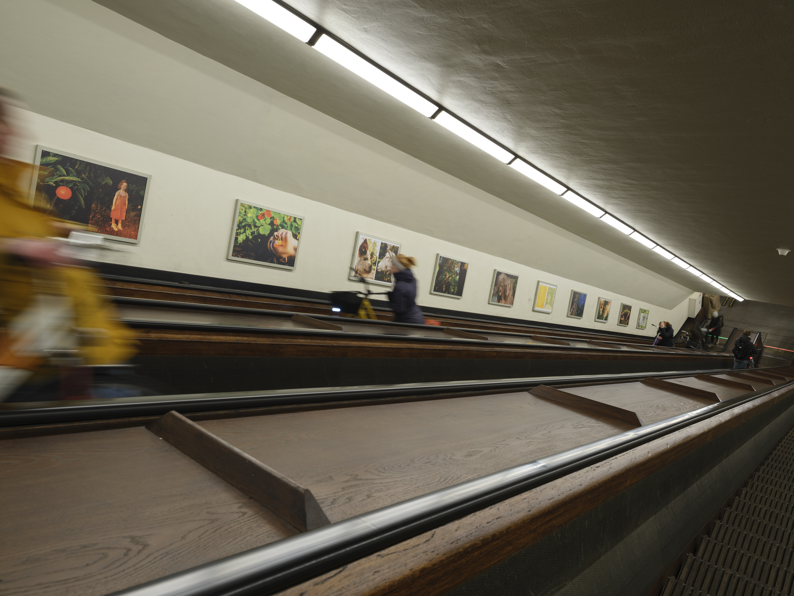exhibition view