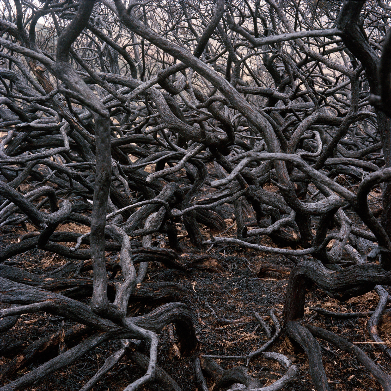 55°51’26”N 3°14’27”W