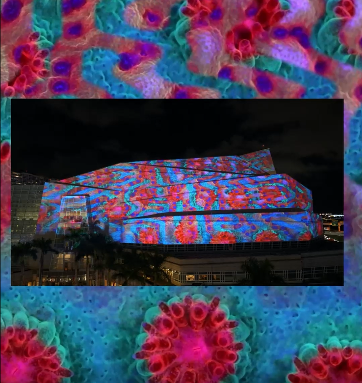 Coral Morphologic Concert Hall Projection Mapping