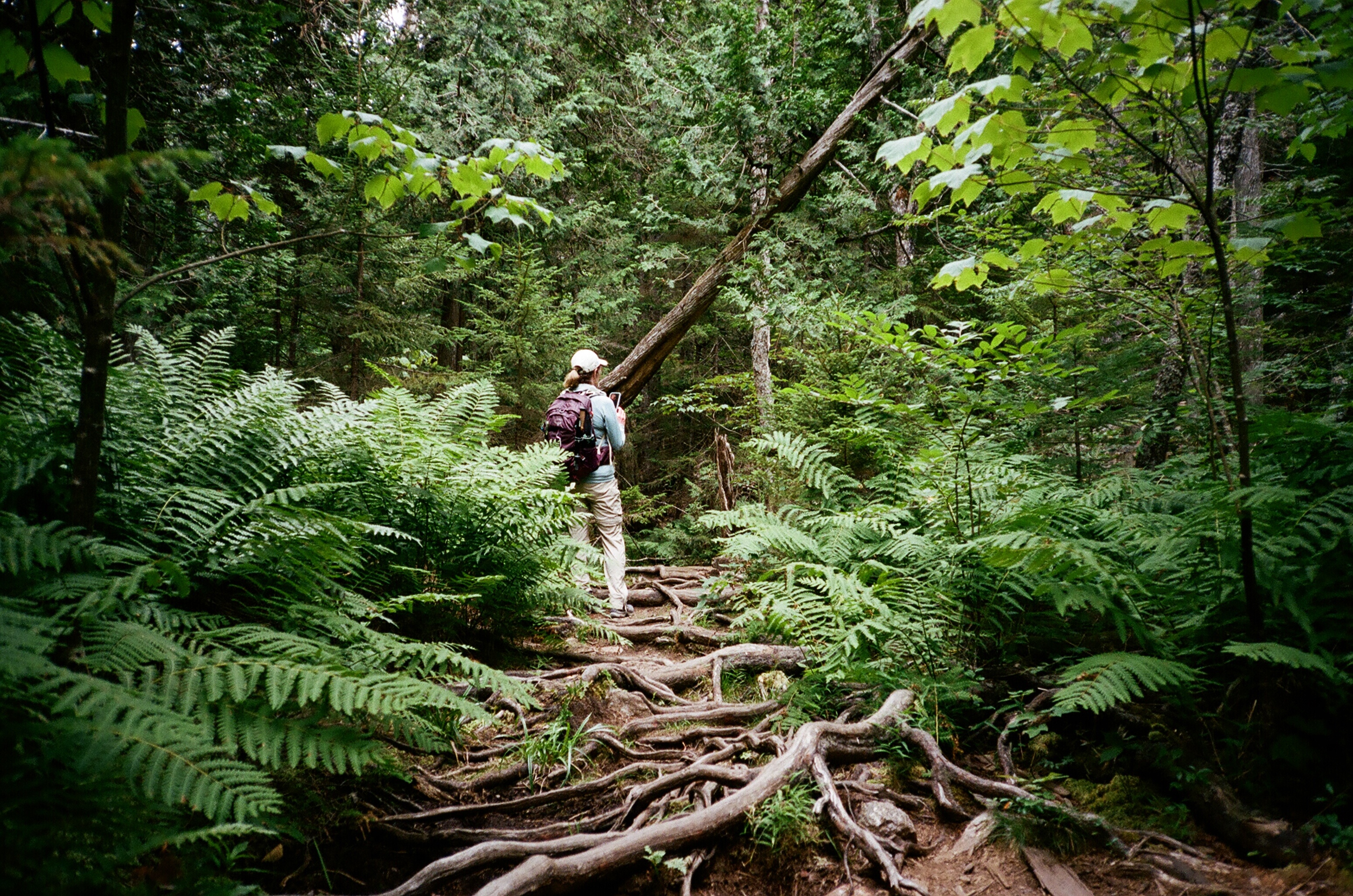 Acadia National Park (on film)