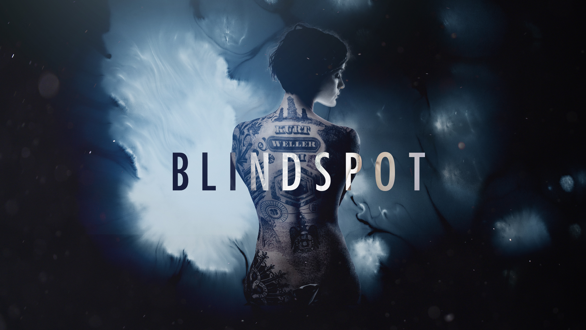 100+] Blindspot Wallpapers | Wallpapers.com