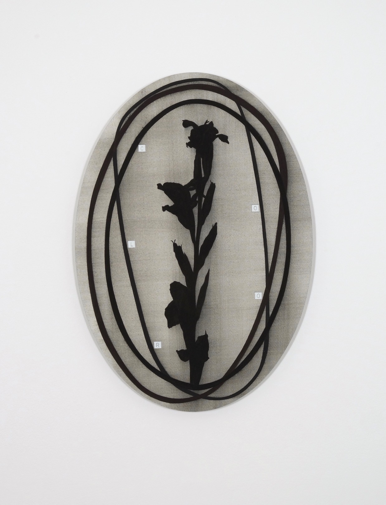 Untitled 2017, acrylic and pencil on paper/aluminium, 44.5 x 31 cm