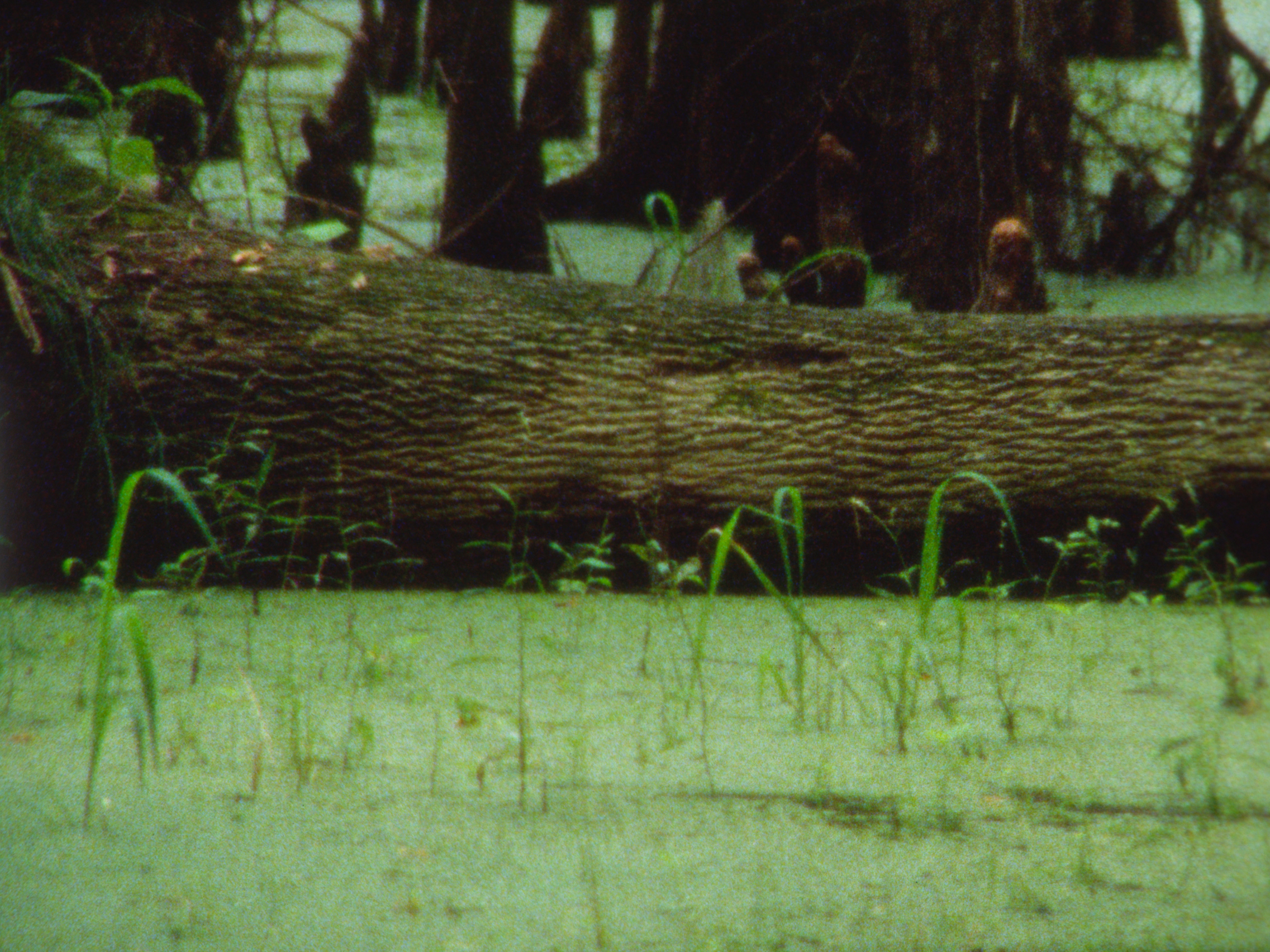 LANNDS for "HITEM' Music Video