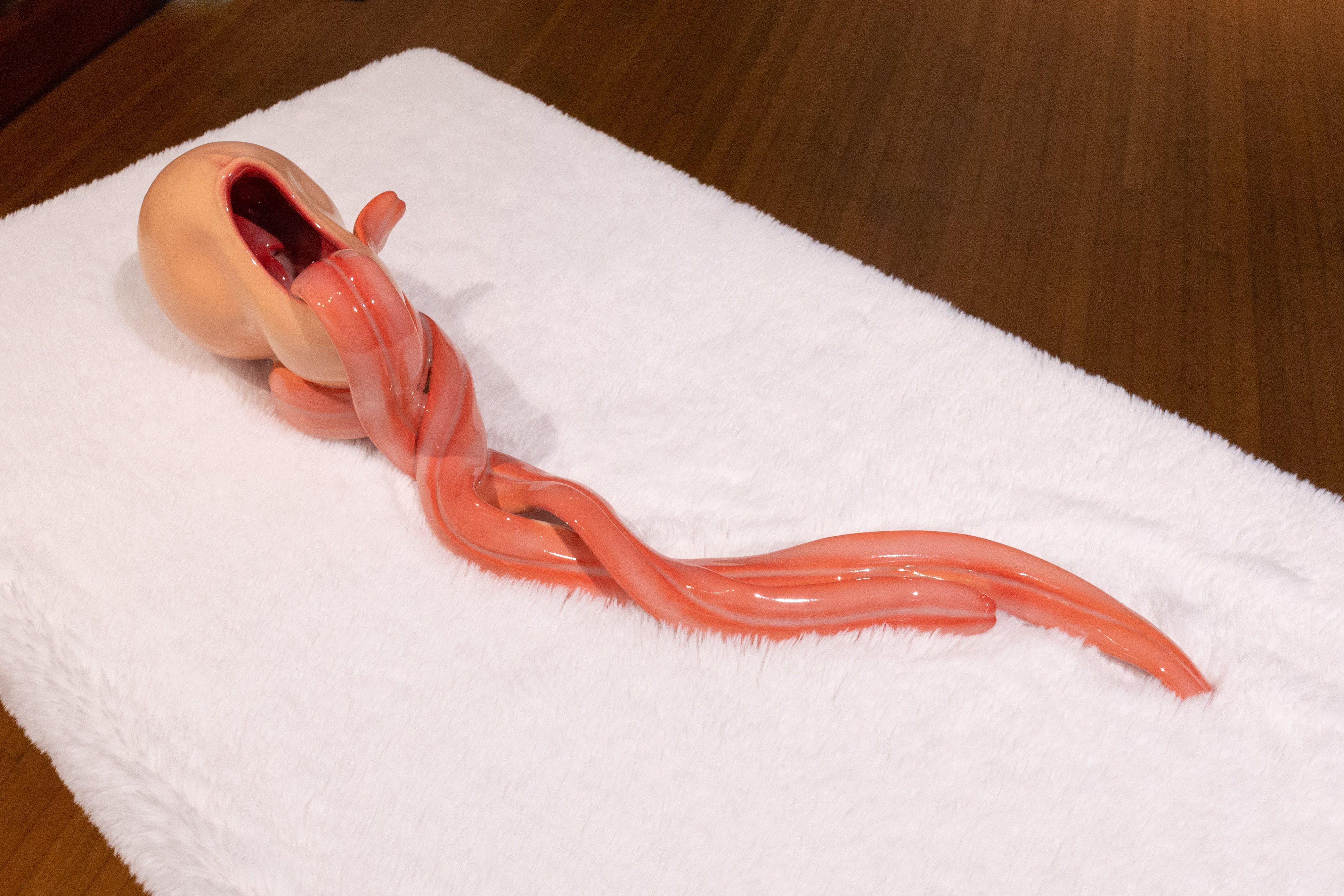 A ceramic artwork resting on a soft, white blanket. The piece resembles and an abstracted face with light skin with the eyes, nose, and ears removed, only leaving an opening that may or may not be a mouth. Two long, red, tongue-like organs emerge, twisting among each other and resting on the soft blanket.