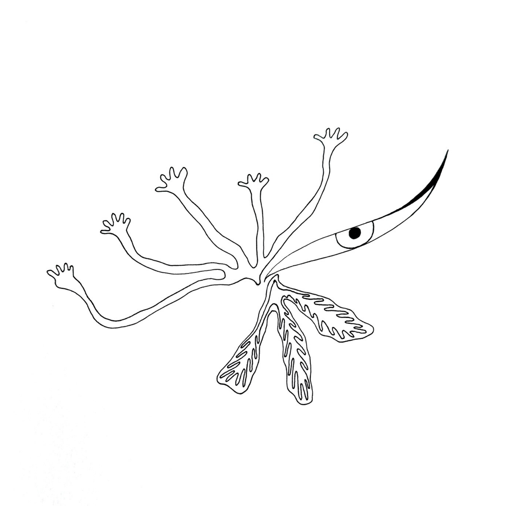 Focused, Peeking Through ✨