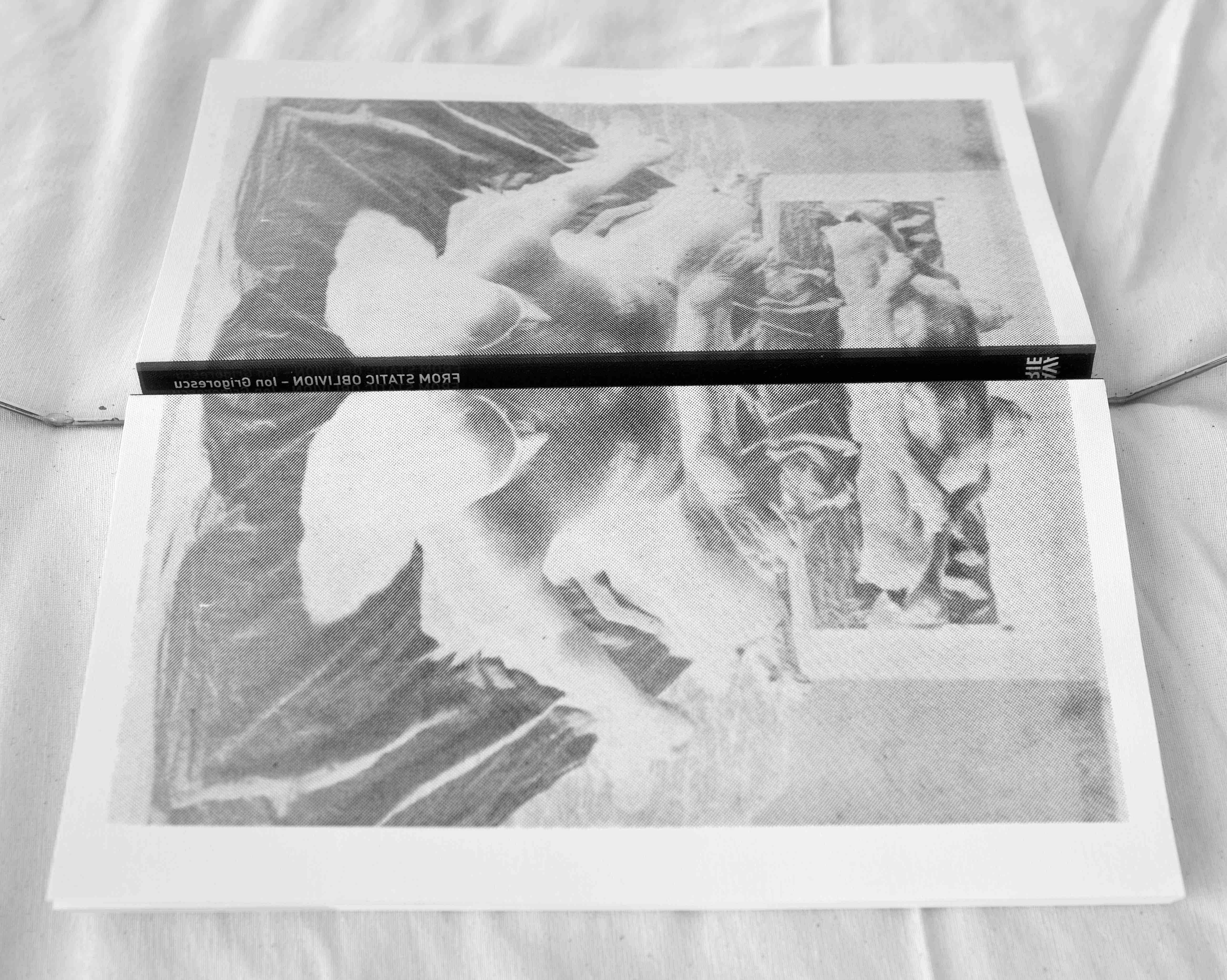 alt="Ion Grigorescu From static oblivion book cover"