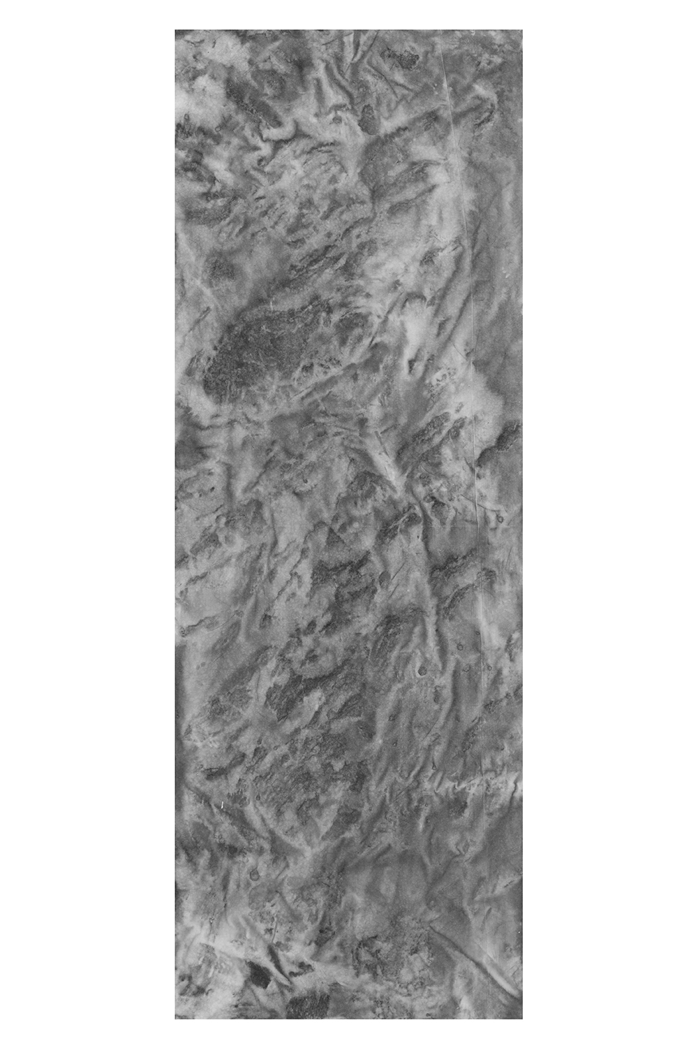 Sentier (II) (verso)encre de Chine et méthylcellulosesur toile, 200 x 71 cm, 2024