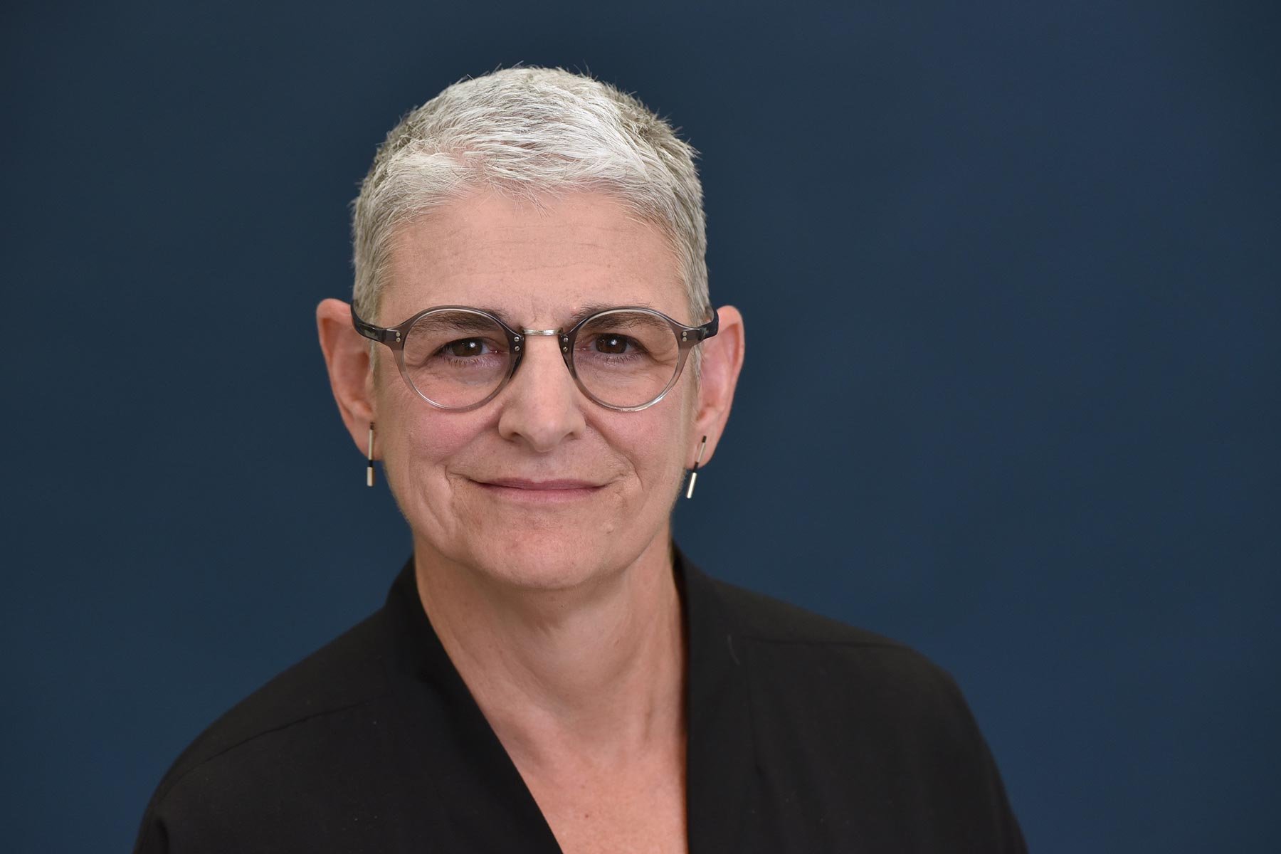 Sharon Haar, Professor of Architecture