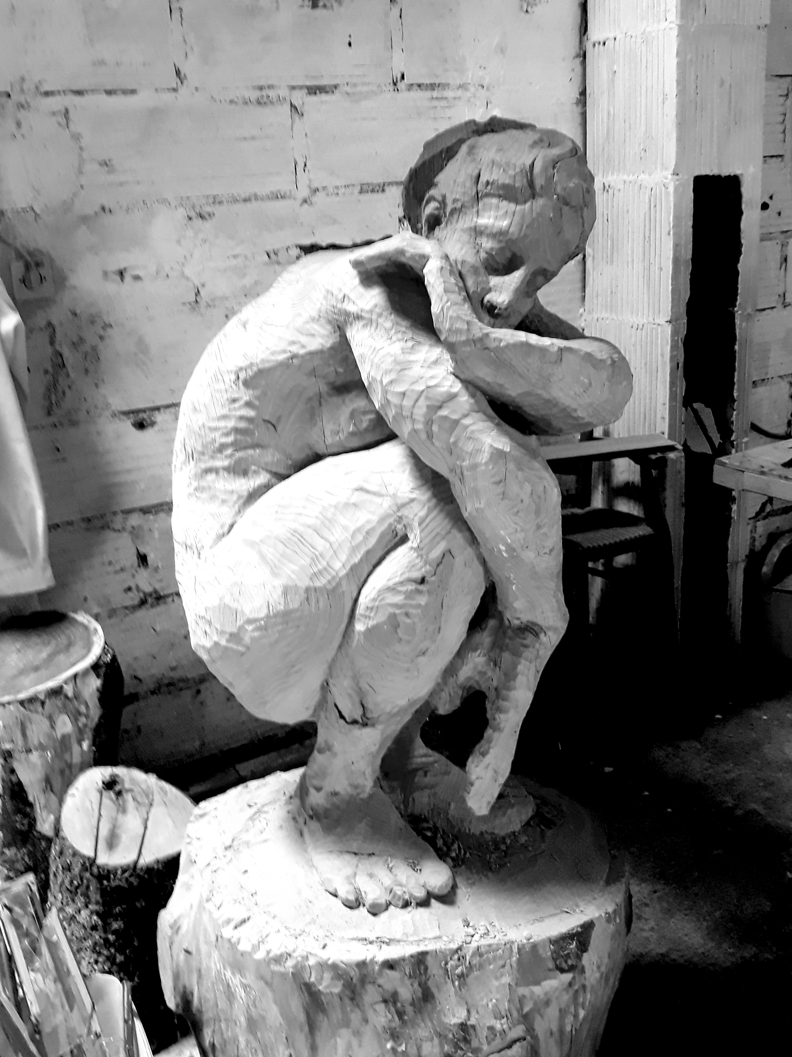 c&egrave;dre | h. 150 cm