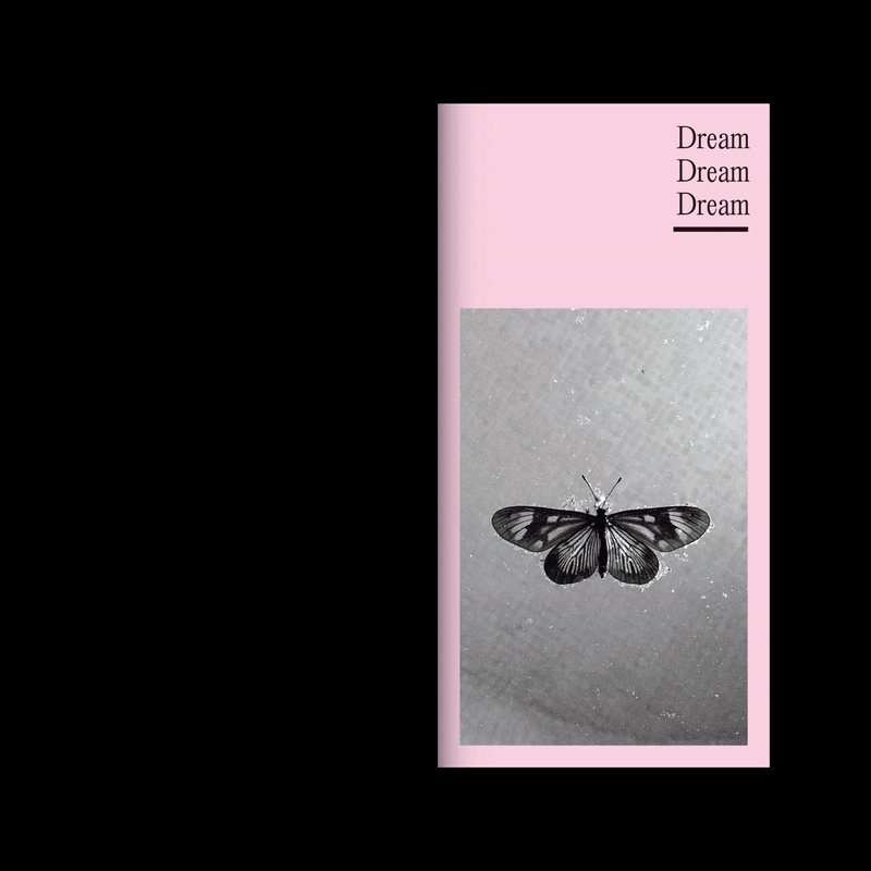 Dream dream dream booklet