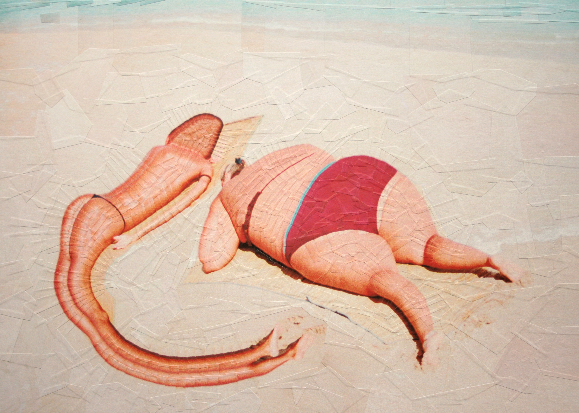 Asses on the beach after Alin Dragulin, 2012, 16.5 x 11.6 inches