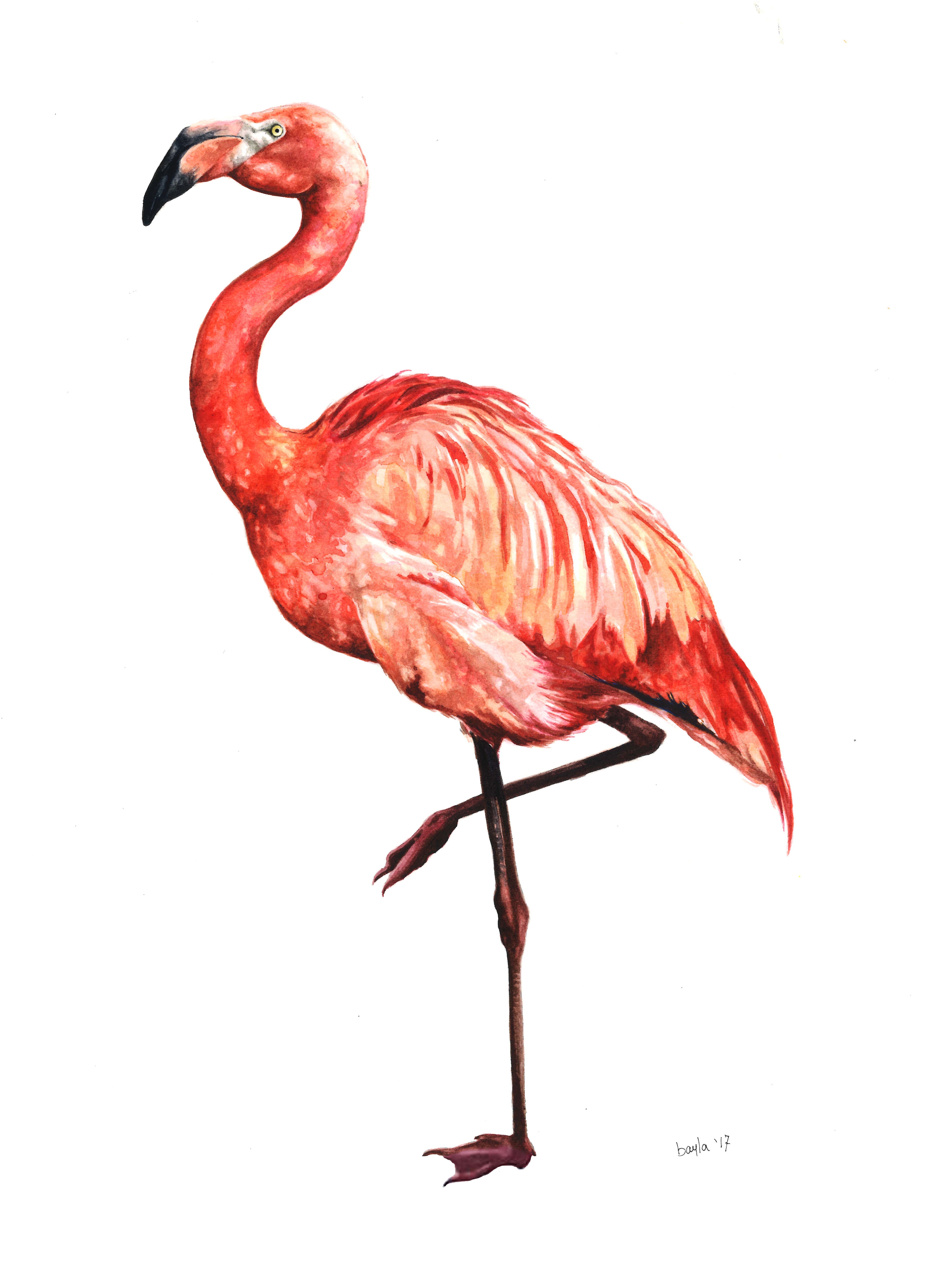 FlamingoWatercolor2016SOLD