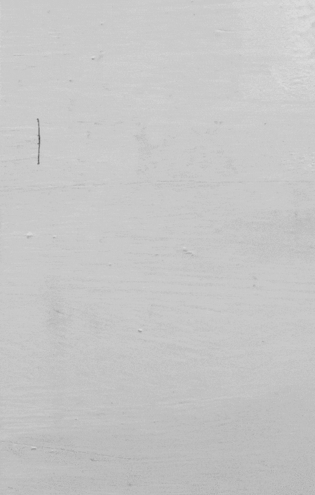 there are words at the back of my teeth