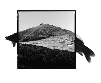 1995, Sněžka - 1602 meters above sea level