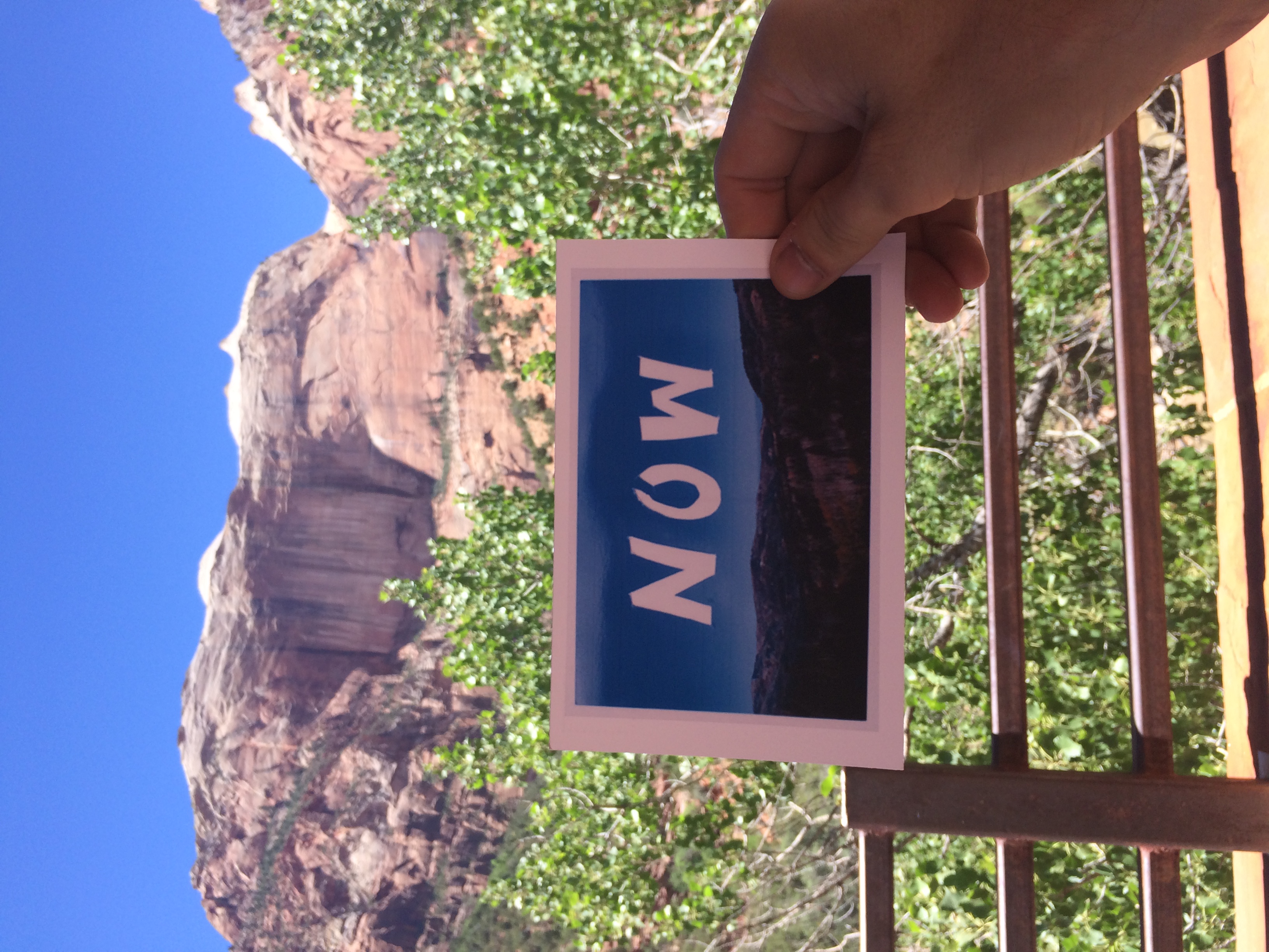 I left this card at a tram stop in the valley of Zion National Park in Utah after a long walk by a river with Neptune. I love how the card establishes presence in this place you just want to remember forever. 
