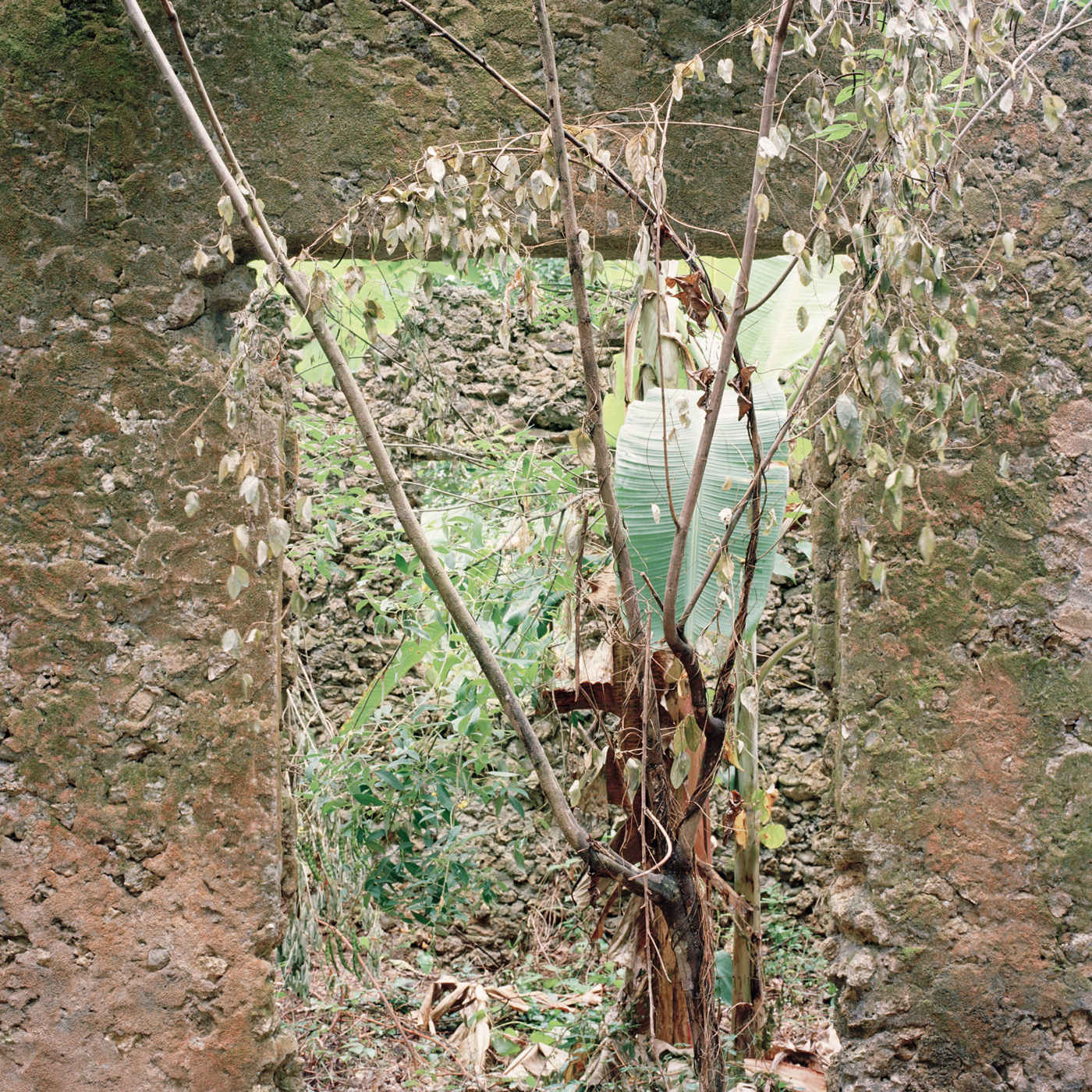 Zanzibar Ruins I, 2019