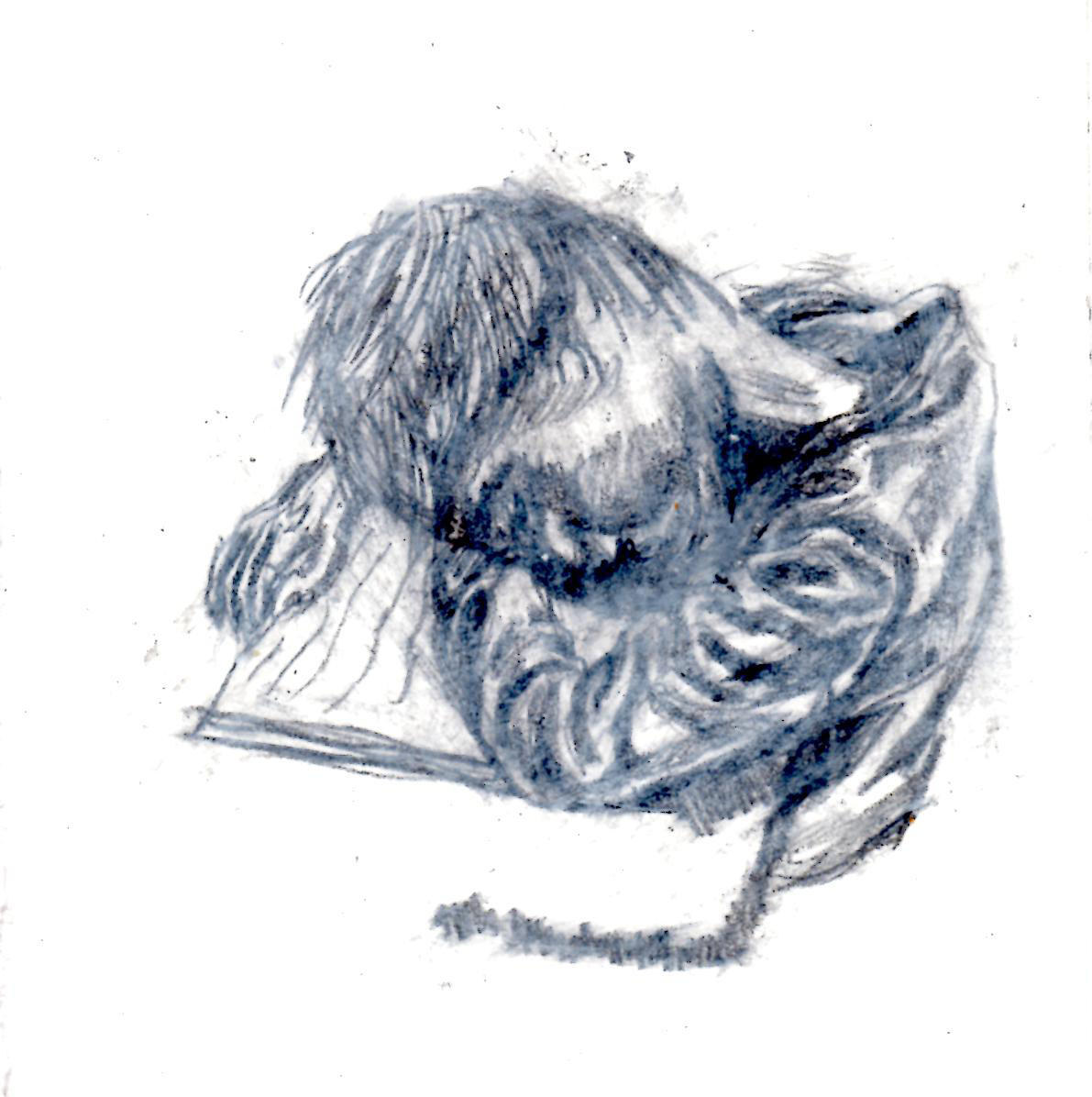 3-1. December 4th, 2015, dream record drawing / Keywords - desk, nap